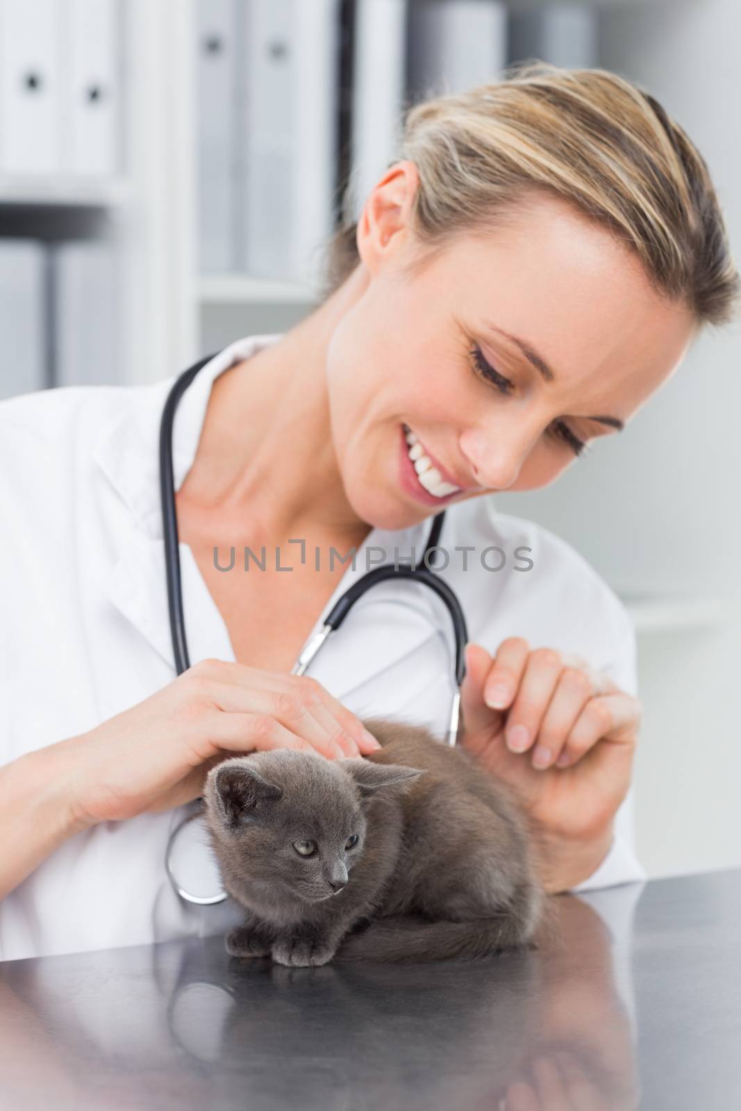 Female veterinarian examining kitten by Wavebreakmedia