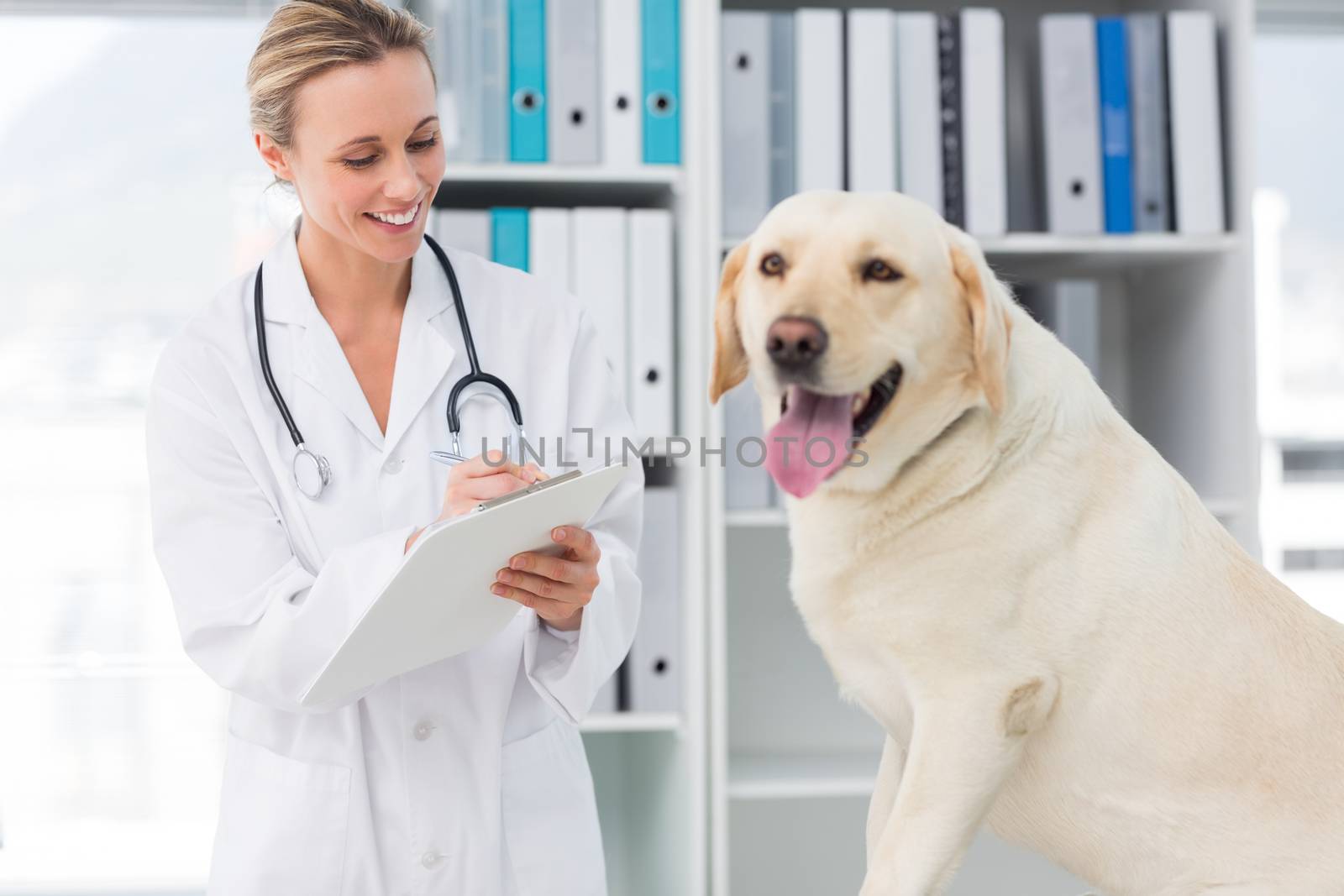 Female veterinarian writing prescription for dog after medical exam