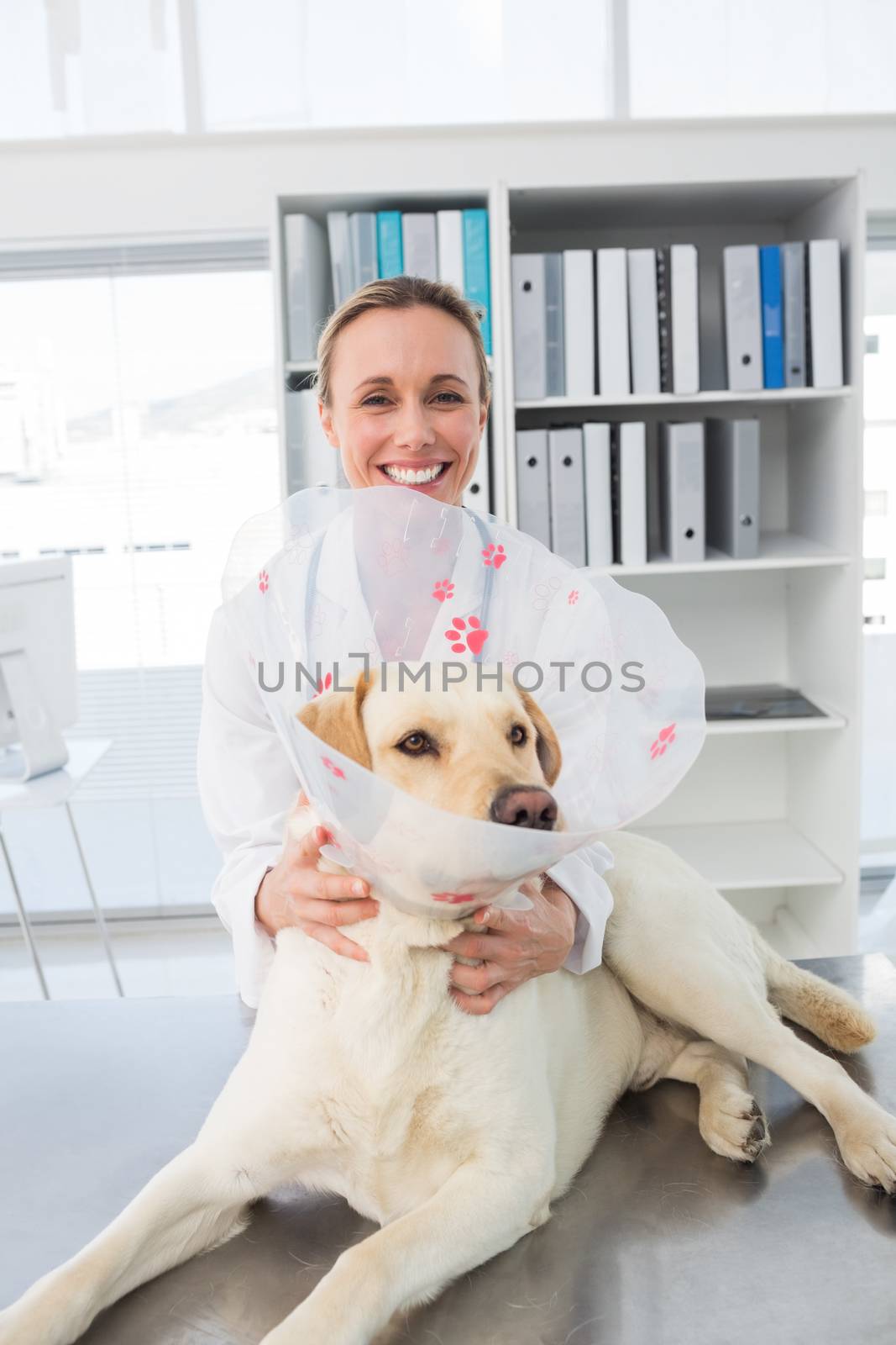 Veterinarian with dog wearing medical collar by Wavebreakmedia