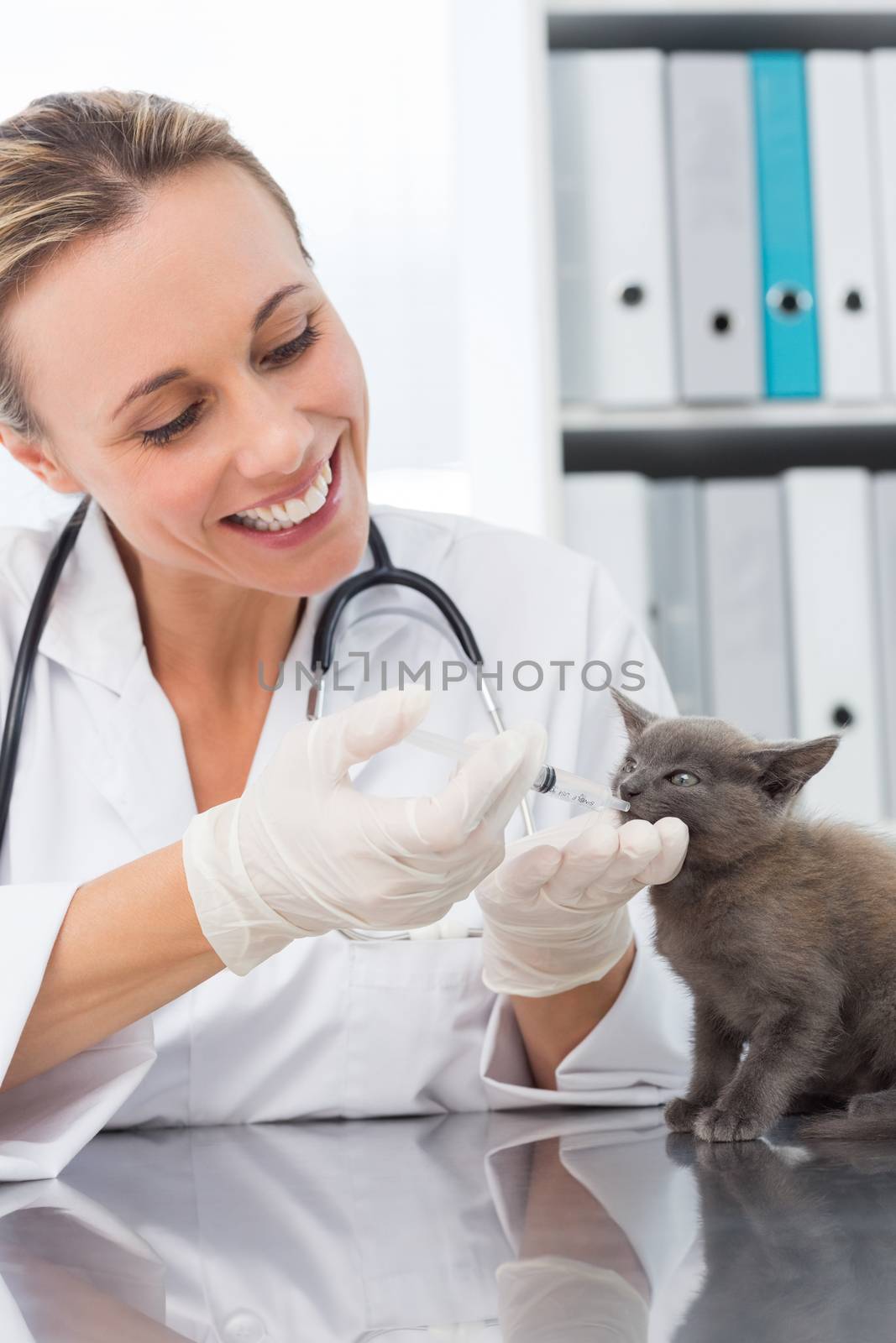 Female veterinarian giving cat medicine through mouth in clinic
