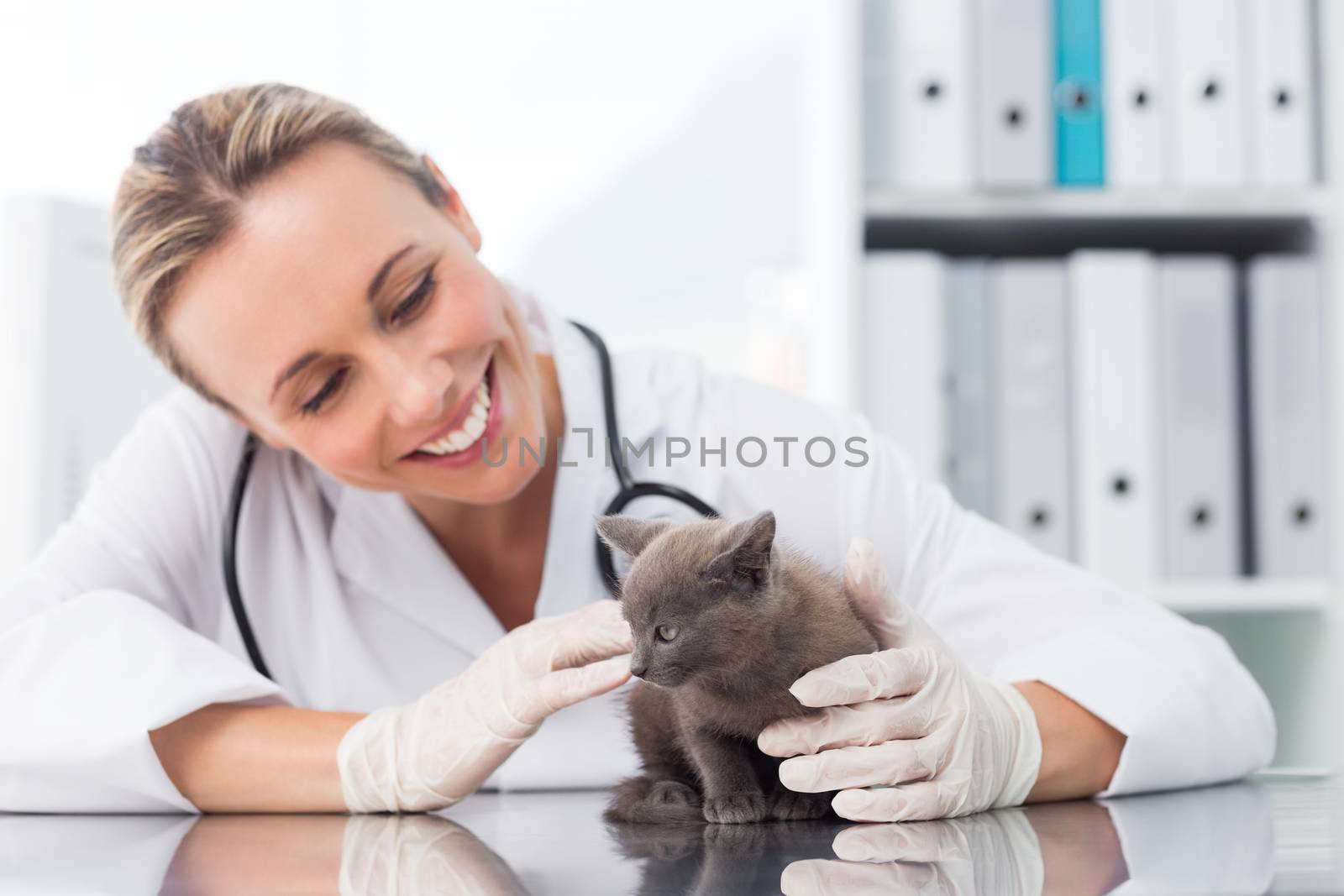 Happy female veterinarian examining kitten in clinic