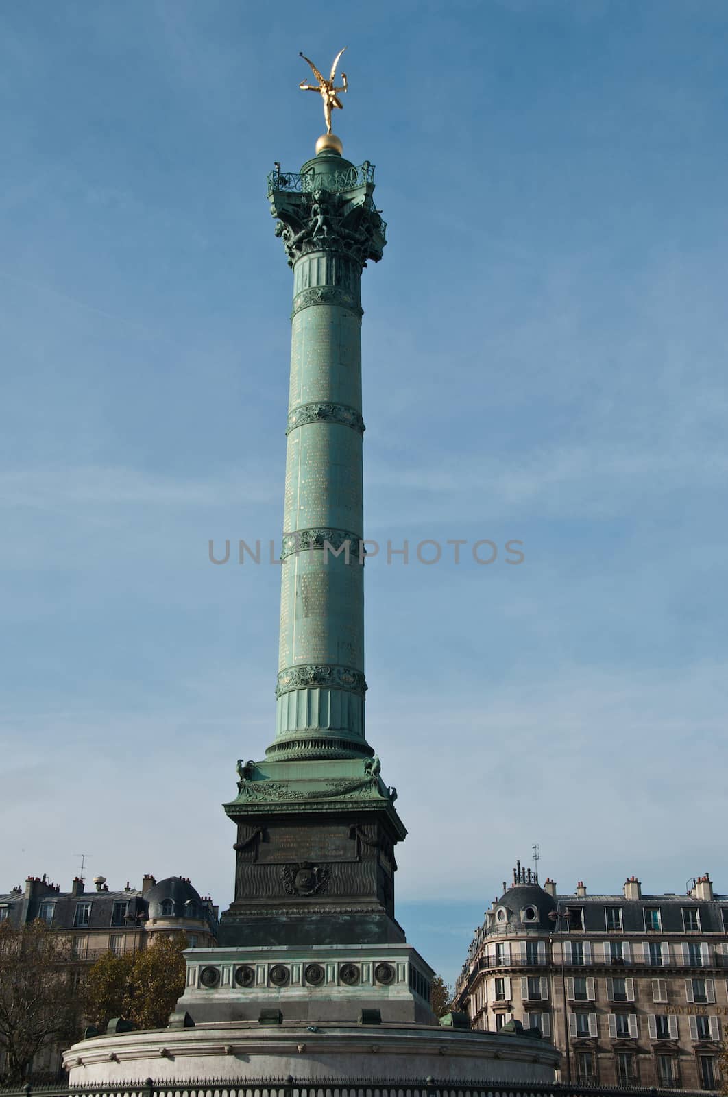 Place of the Bastille in Paris by NeydtStock