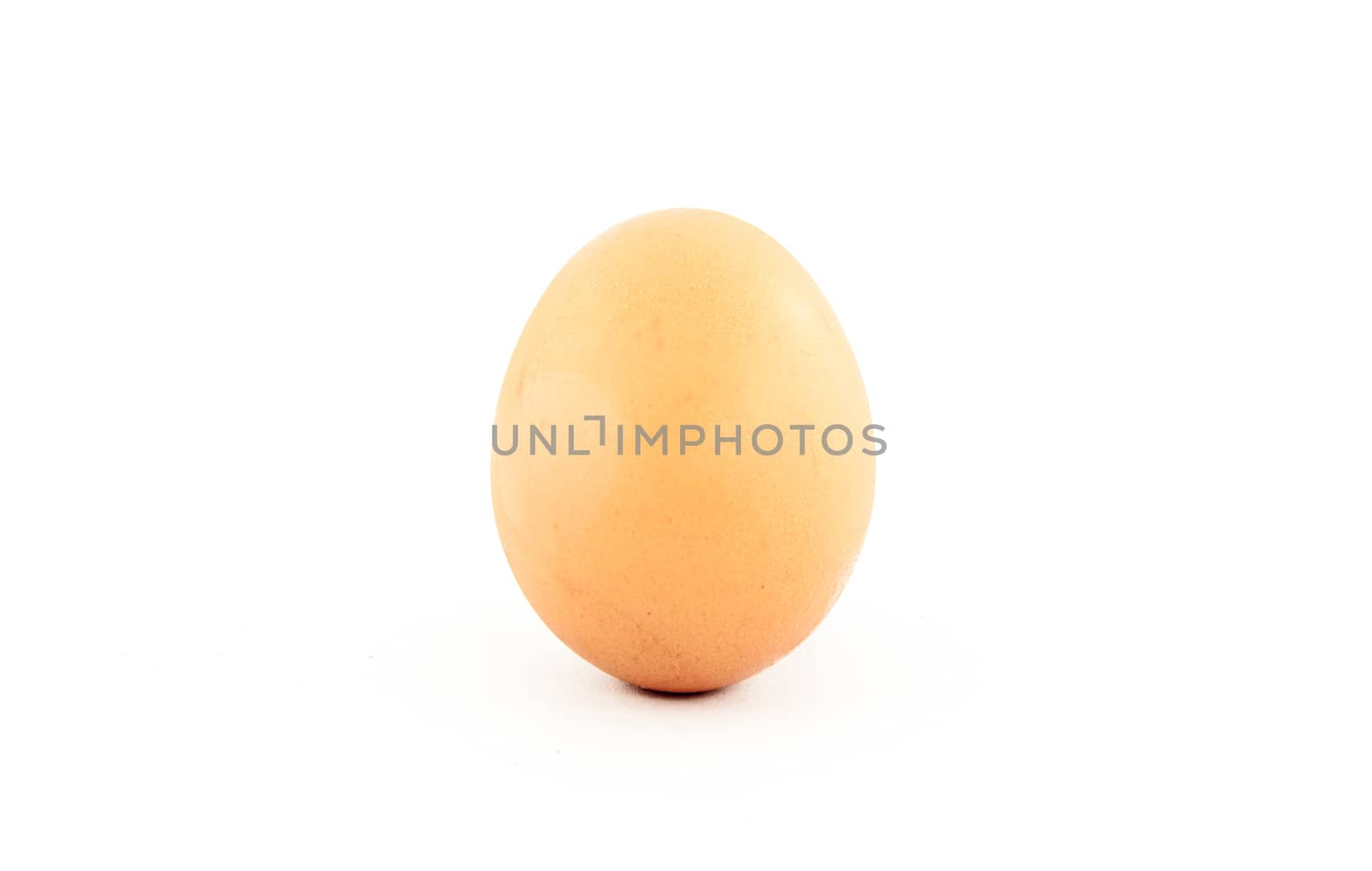 Egg isolated on white background.