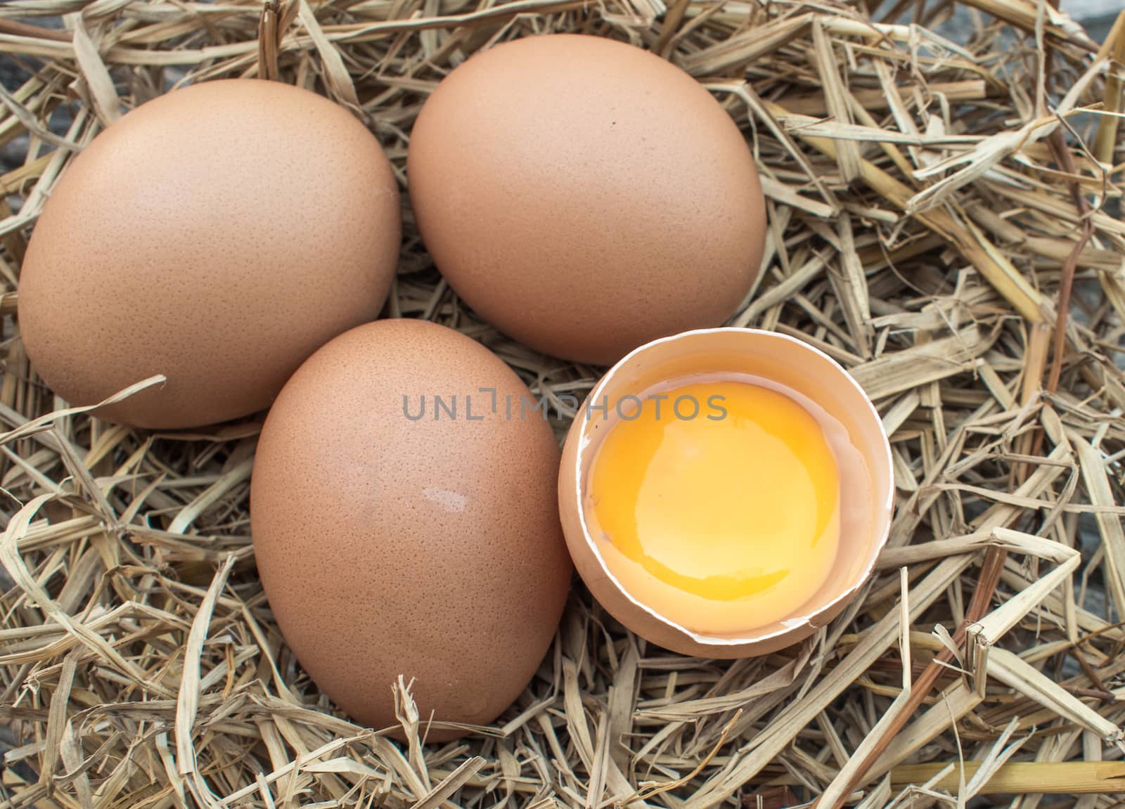 Eggs in straw nest on the wooden floor.