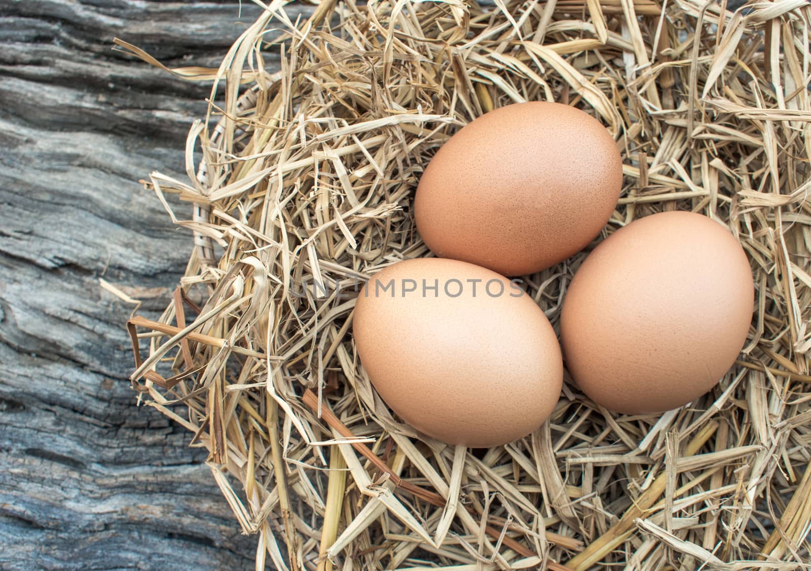 Eggs in straw nest on the wooden floor.