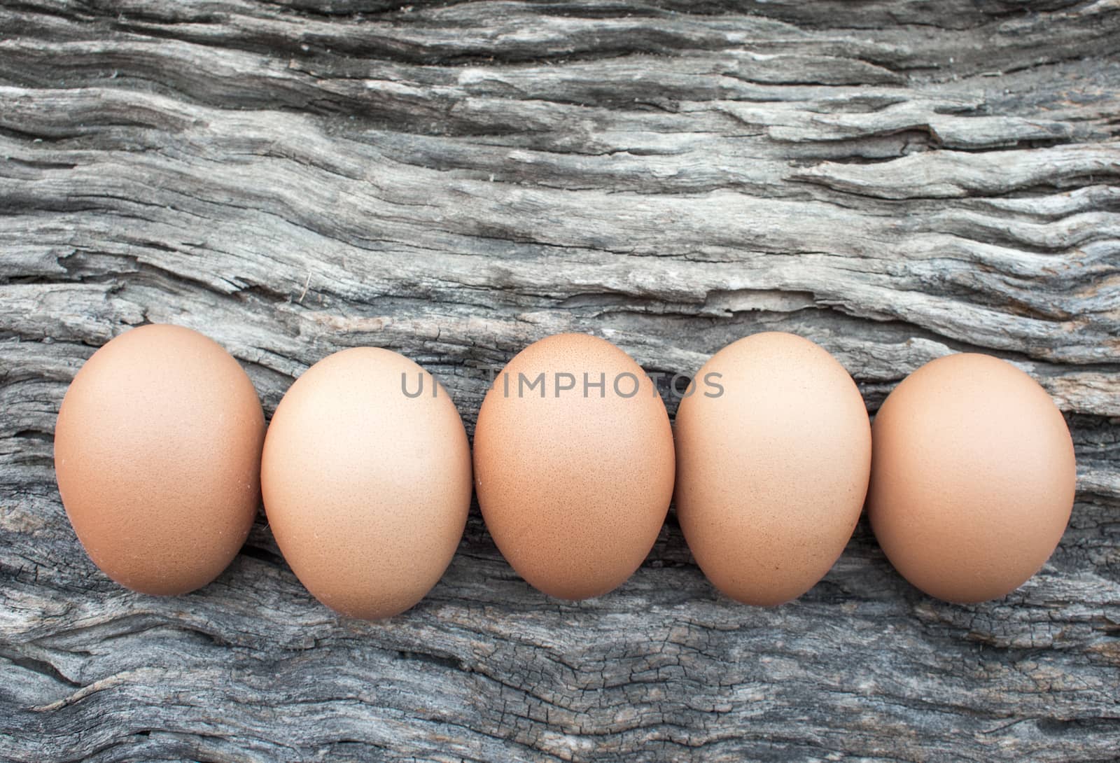 Eggs laid on wooden floor