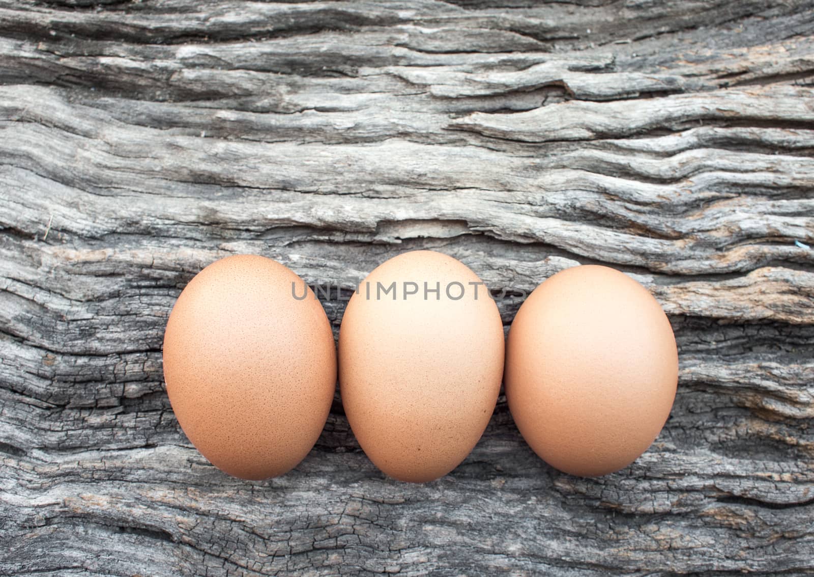 Eggs laid on wooden floor