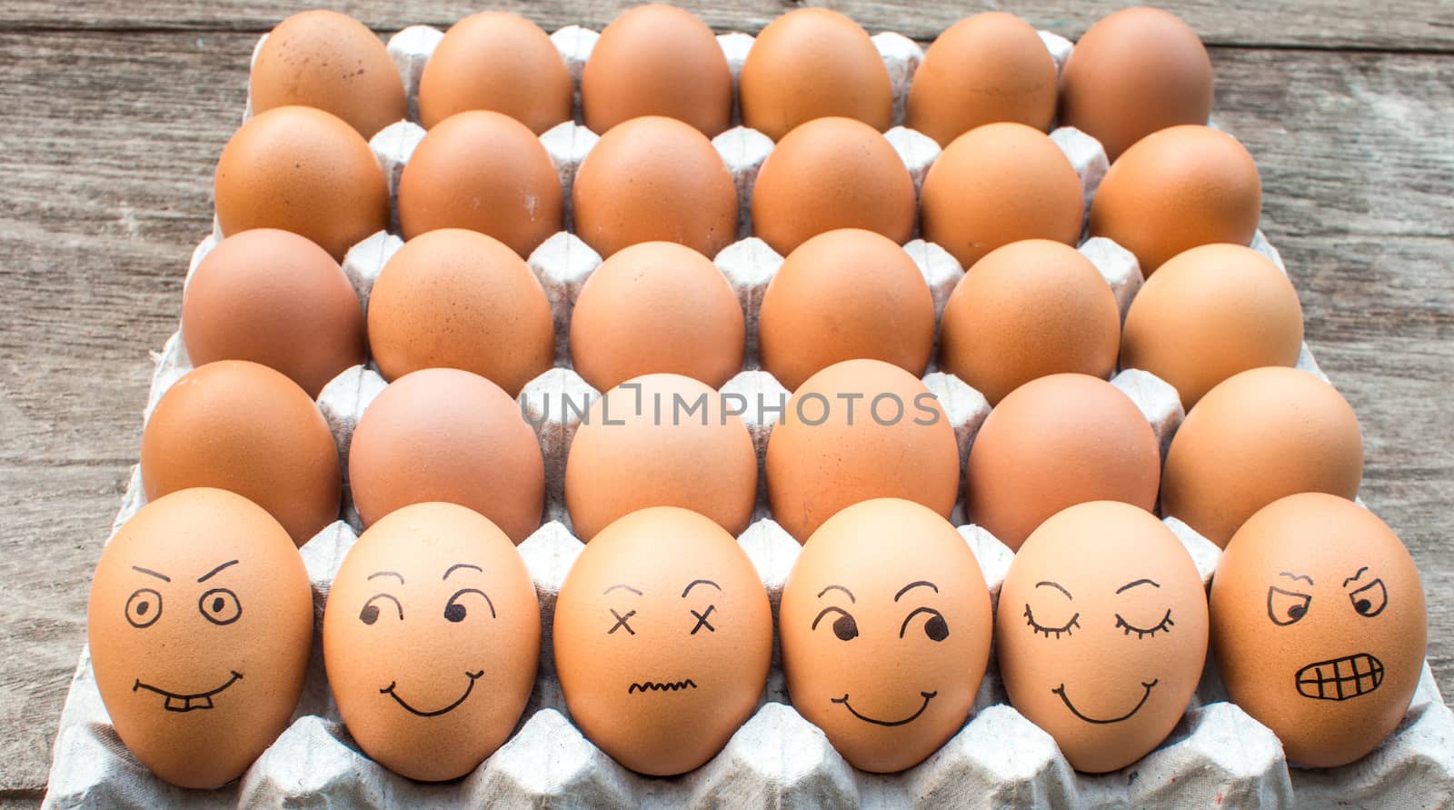 egg Family