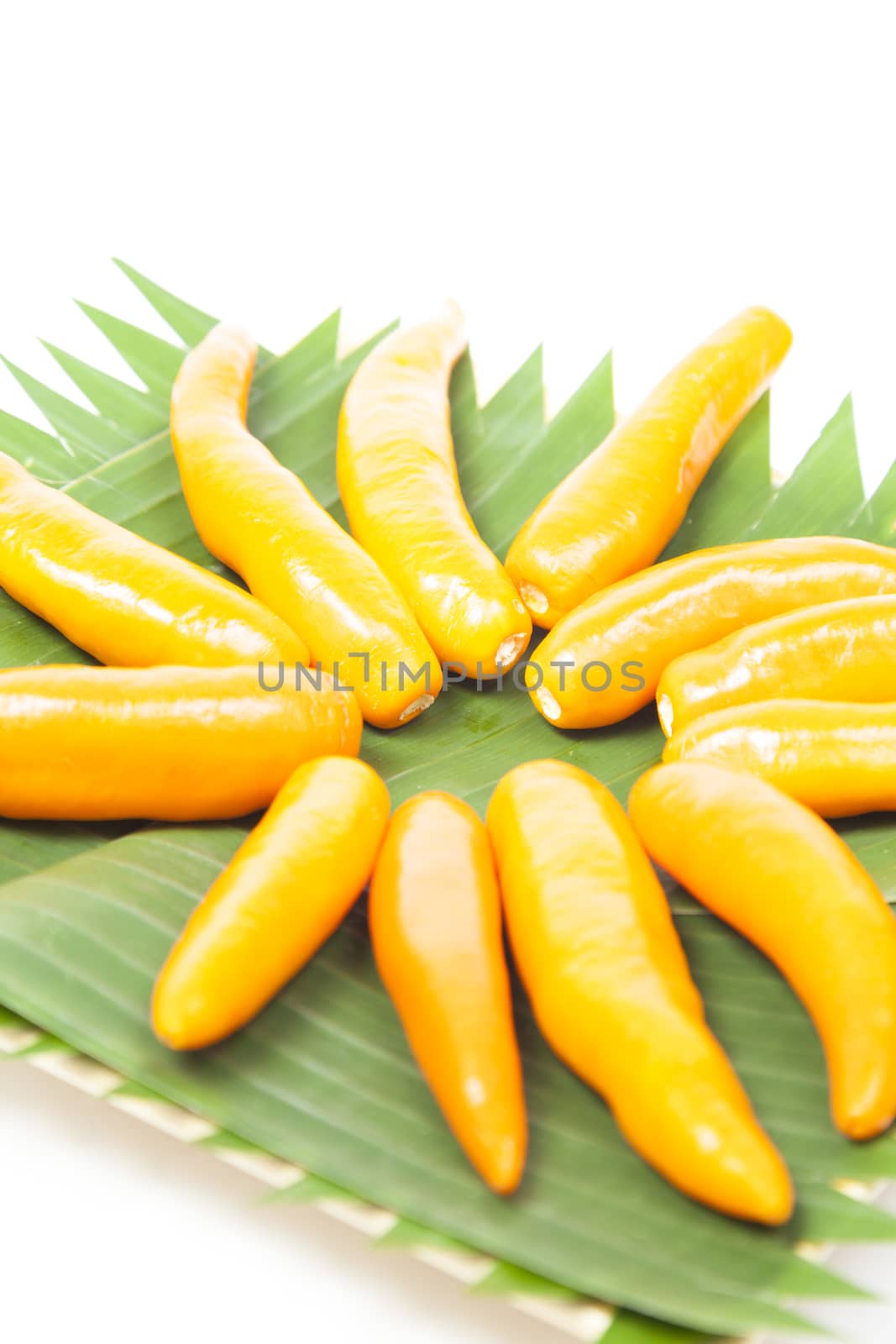 Capsicum on plate Yellow sweet peppers on a white background.