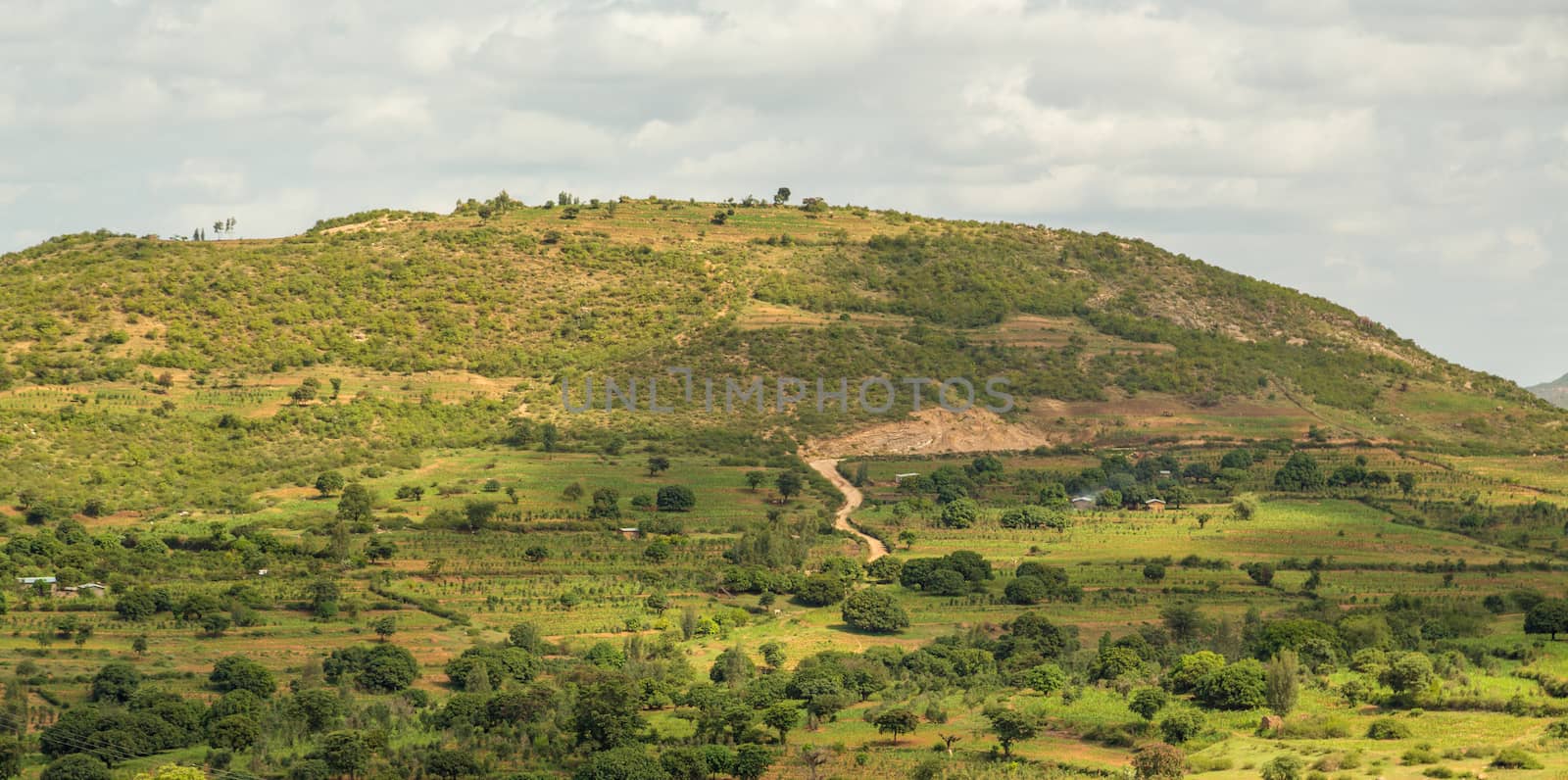 One of the mountains surrounding the city of Harar by derejeb