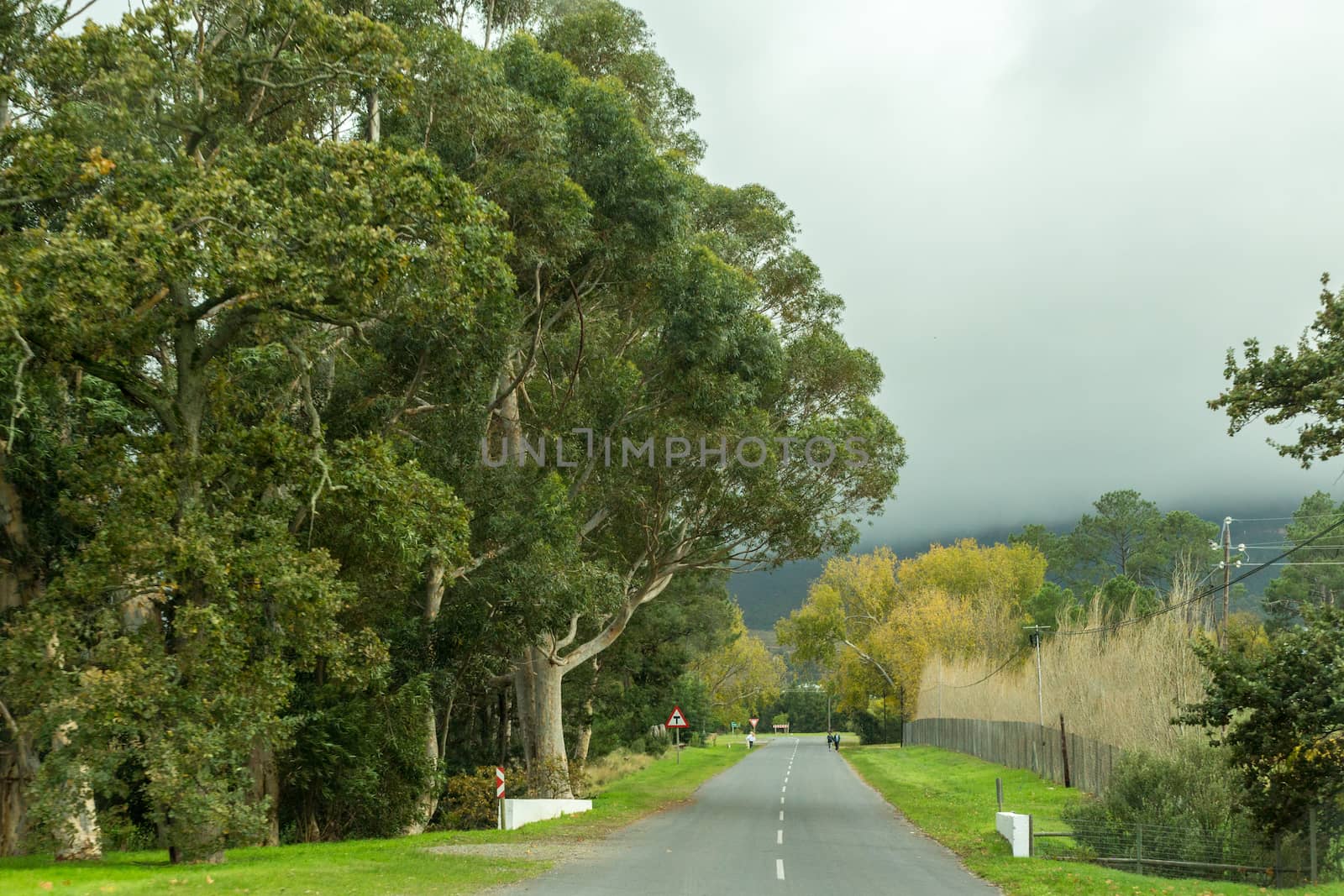 A small asphalt road cutting through the picturesque landscapes of the Western Cape regions of South Africa