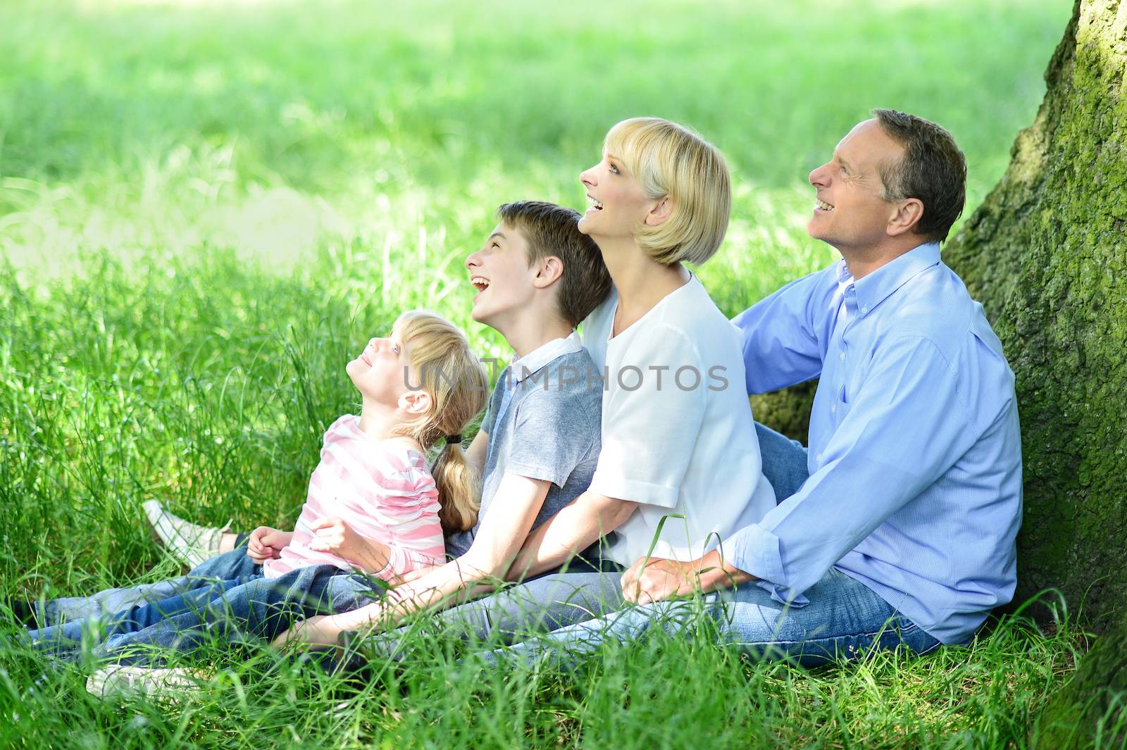 Family of four sitting under tree and looking up