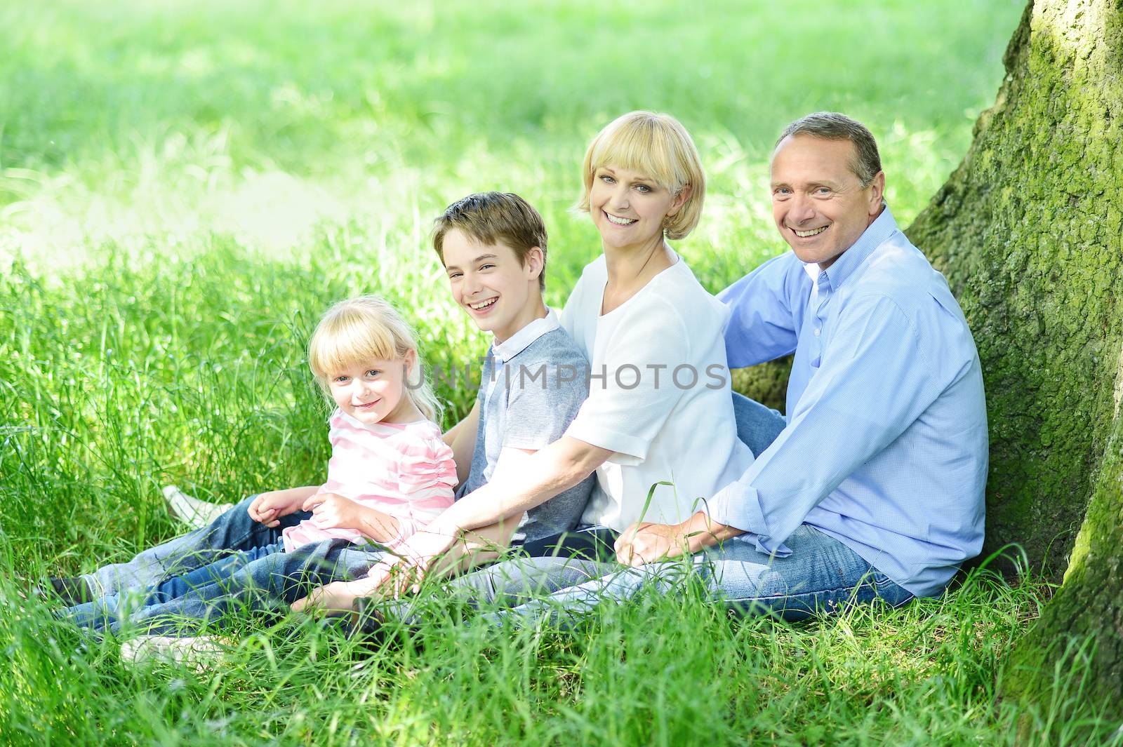 Jovial family resting under a tree in shade