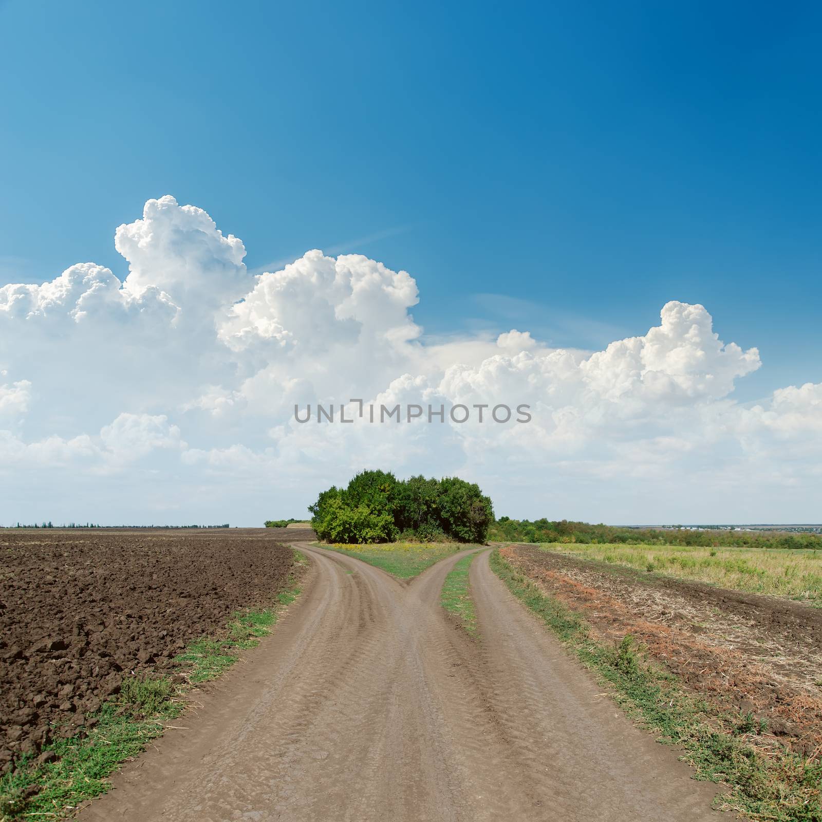 two rural roads to horizon and clouds in blue sky by mycola