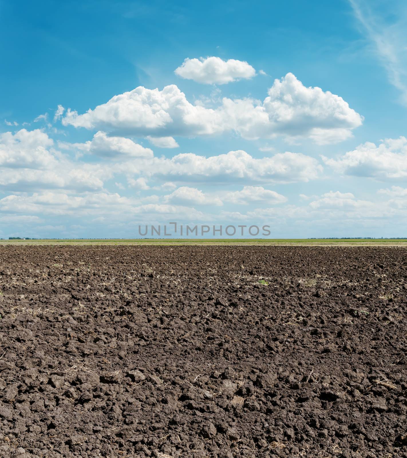 black arable field after harvesting and blue sky
