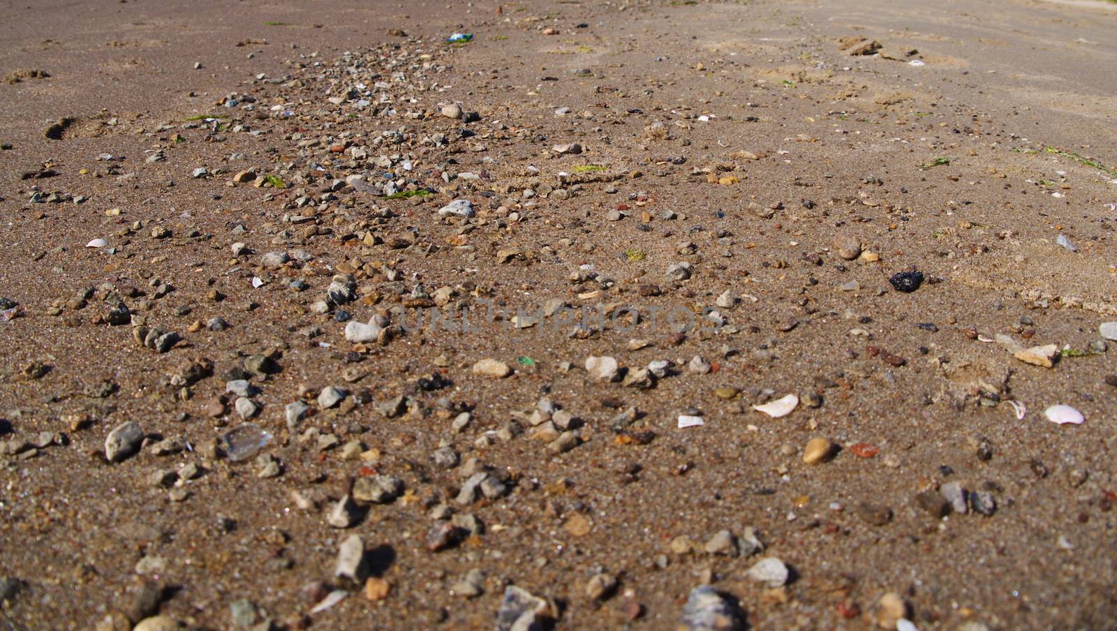 Baltic Beach sand close up, small stones