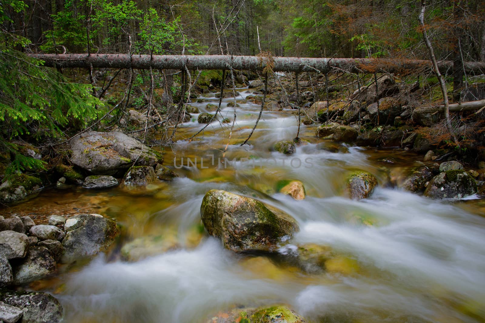 Motion blurred water in a rapid streaming rocky forest creek in Norway. 
