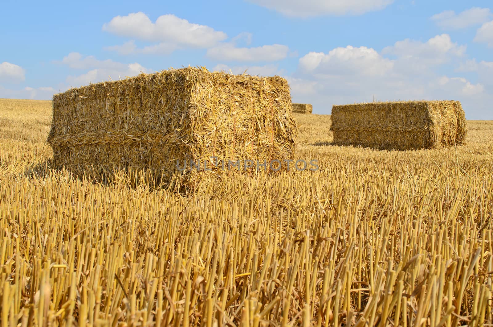 Straw bale drying in the sun after harvest in a golden stubble field.