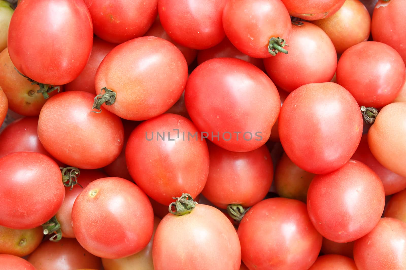 many red tomatoes