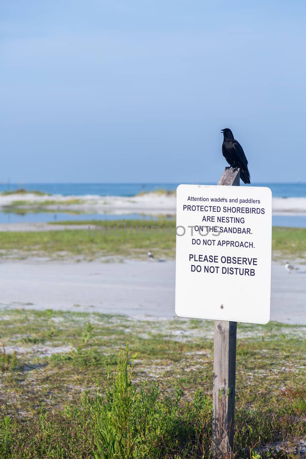 Sign post warning to keep away from protected shorebirds on Fort de Soto county park beach in Florida