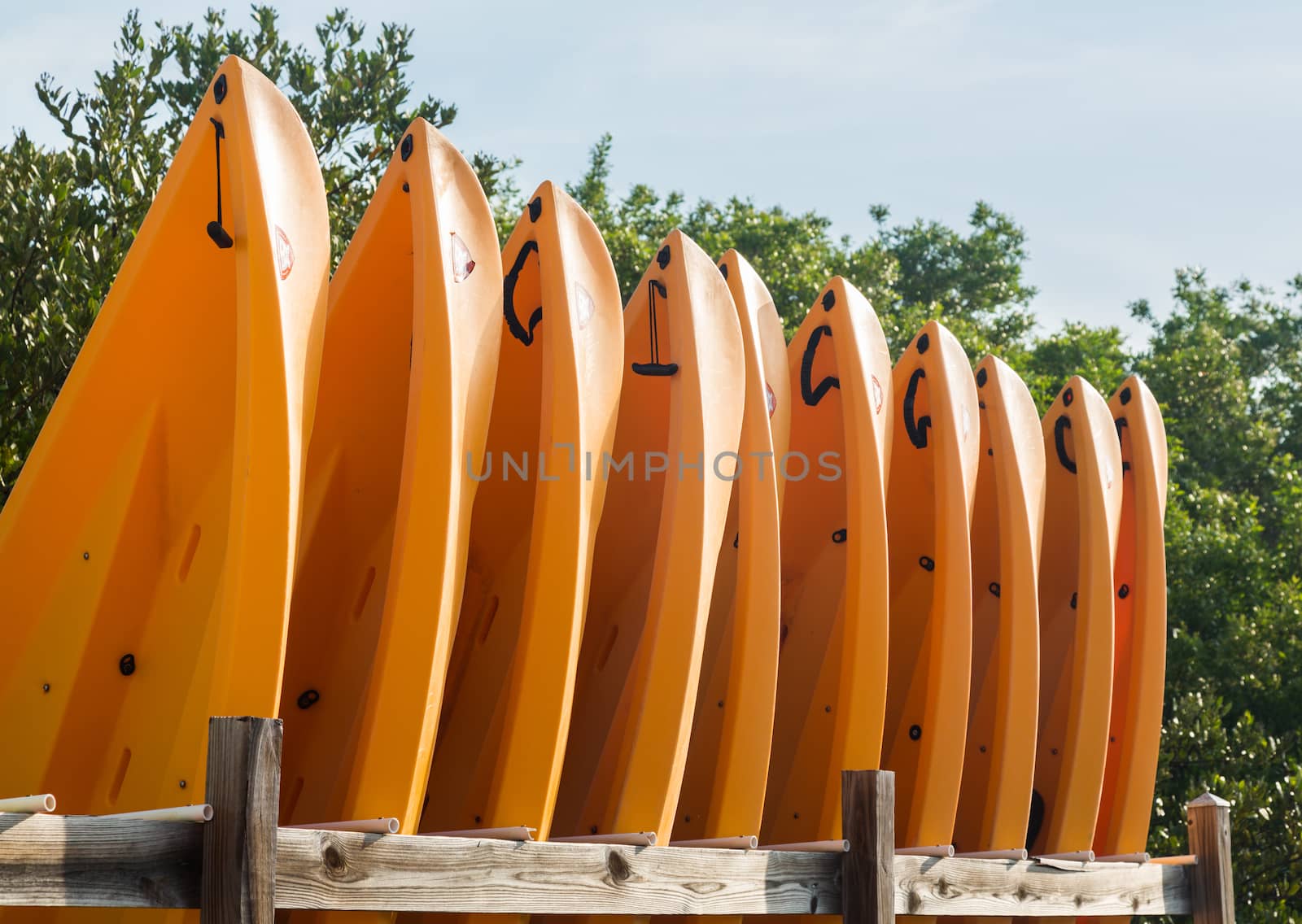 Many yellow prows of canoes or kayaks in rack with trees and blue sky behind the boats