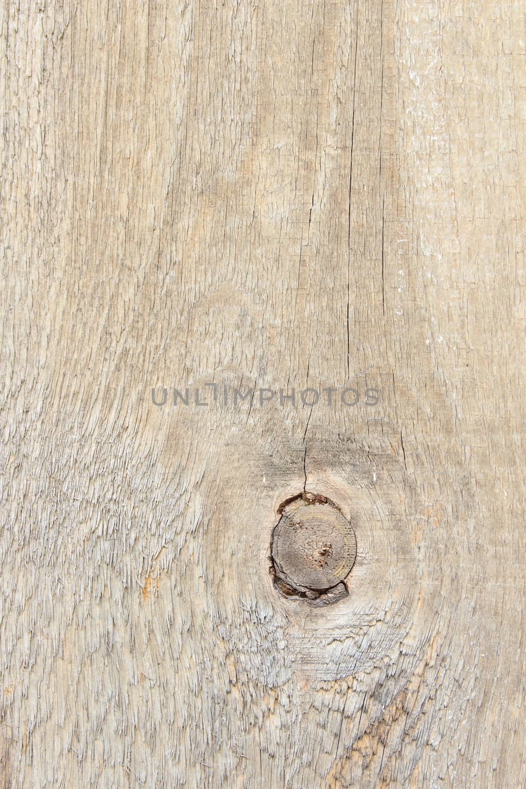 Wood Knot and Grain for background