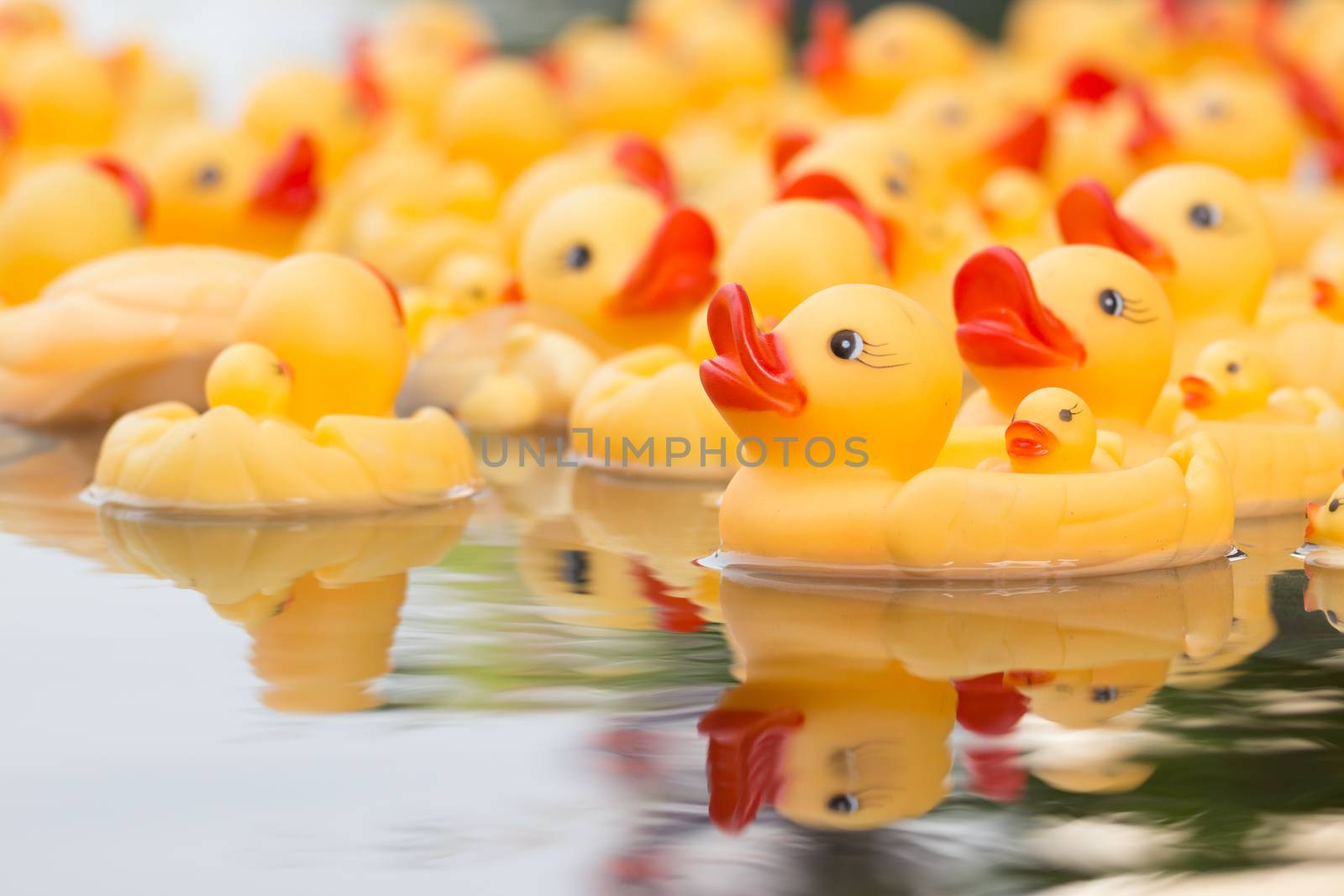 Plastic yellow duck toy with water reflection
