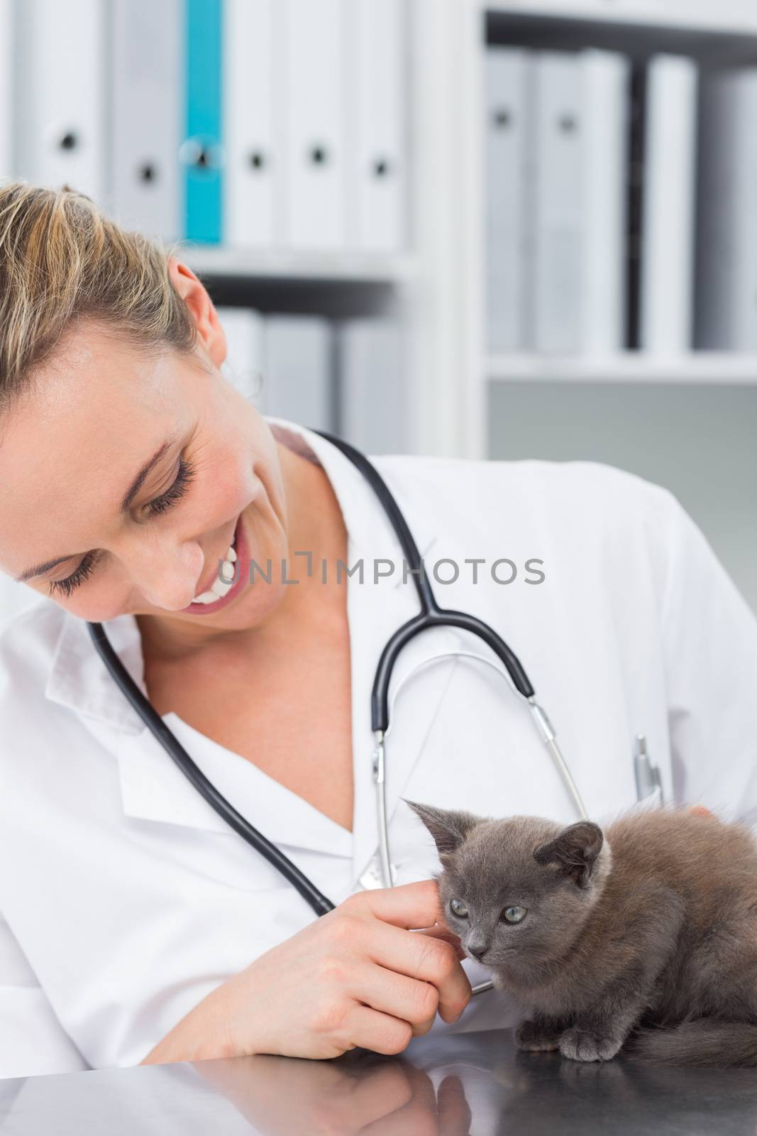Smiling female vet examining kitten in clinic