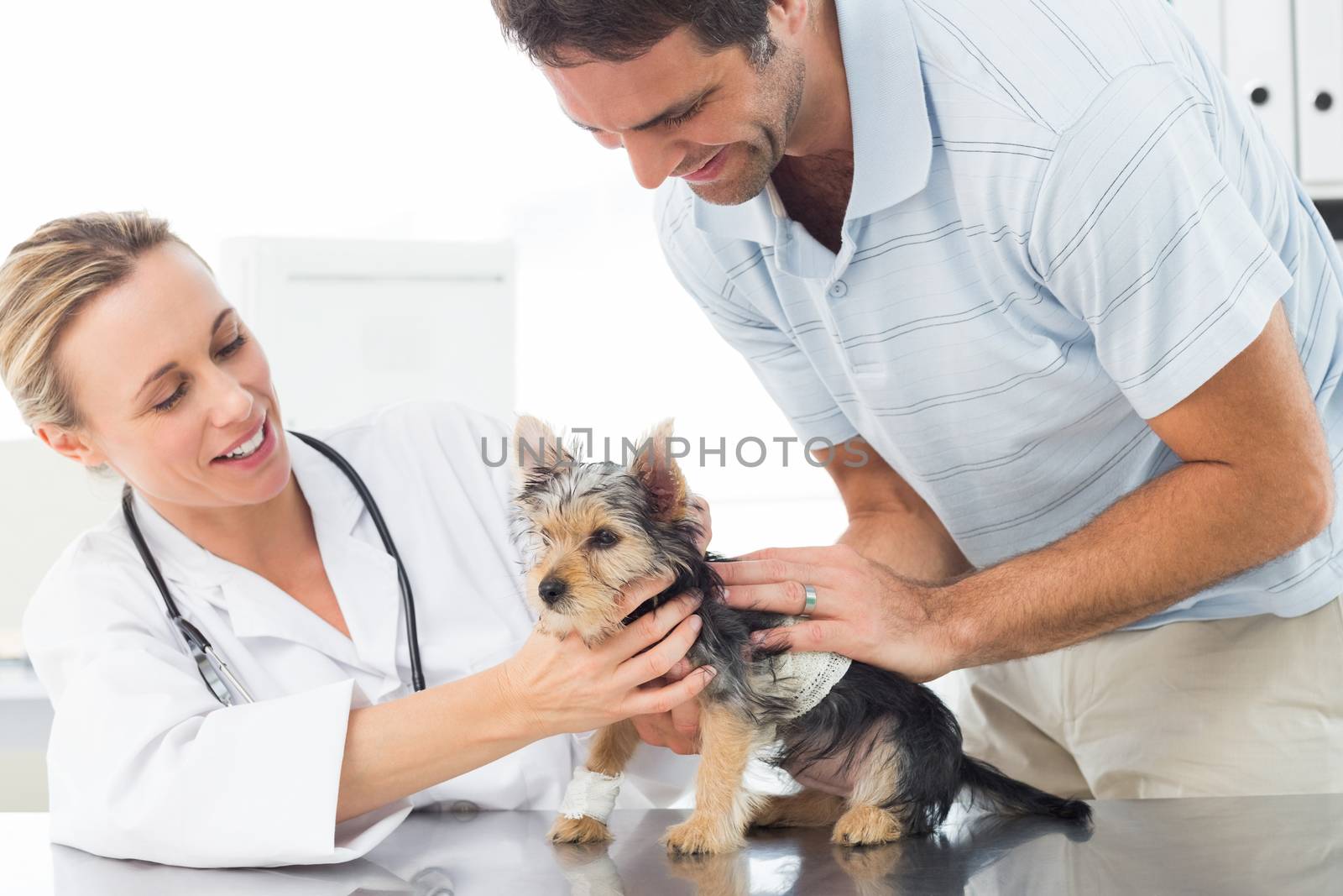 Vet examining puppy with man by Wavebreakmedia