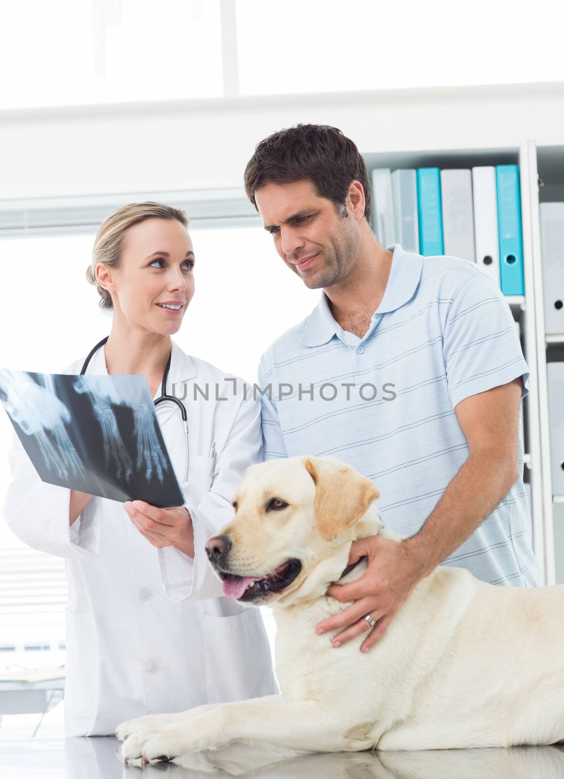 Female vet showing Xray of dog to pet owner in clinic