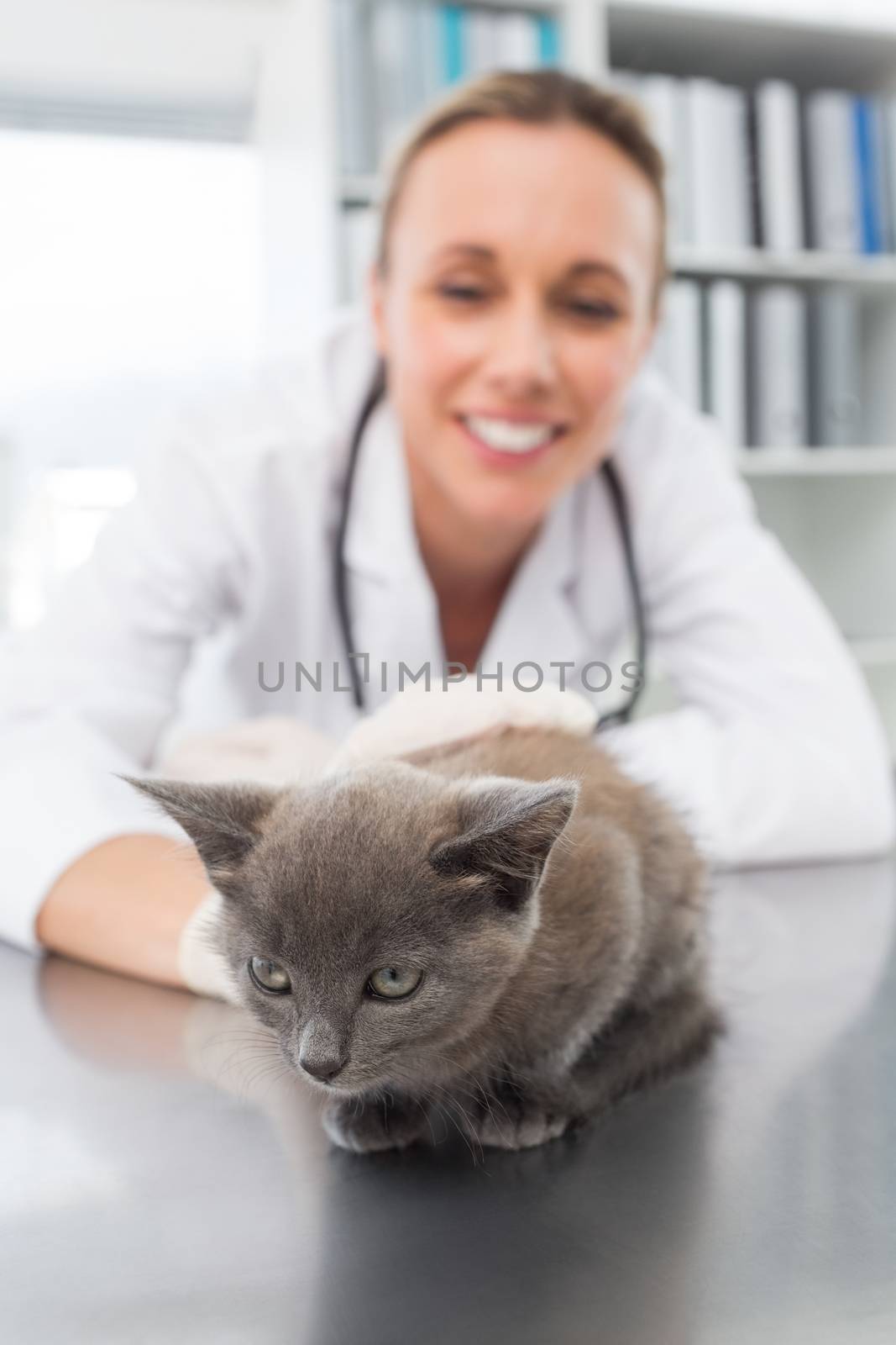 Cute kitten being examined by female vet in clinic