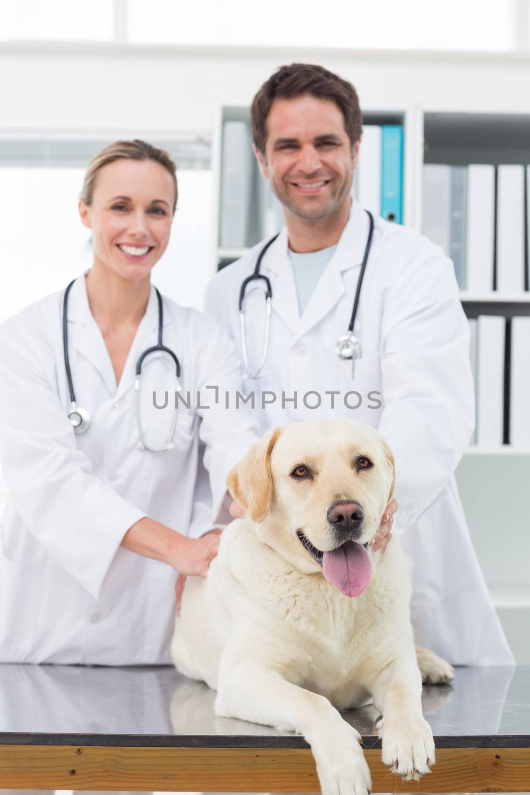 Confident vets examining dog by Wavebreakmedia