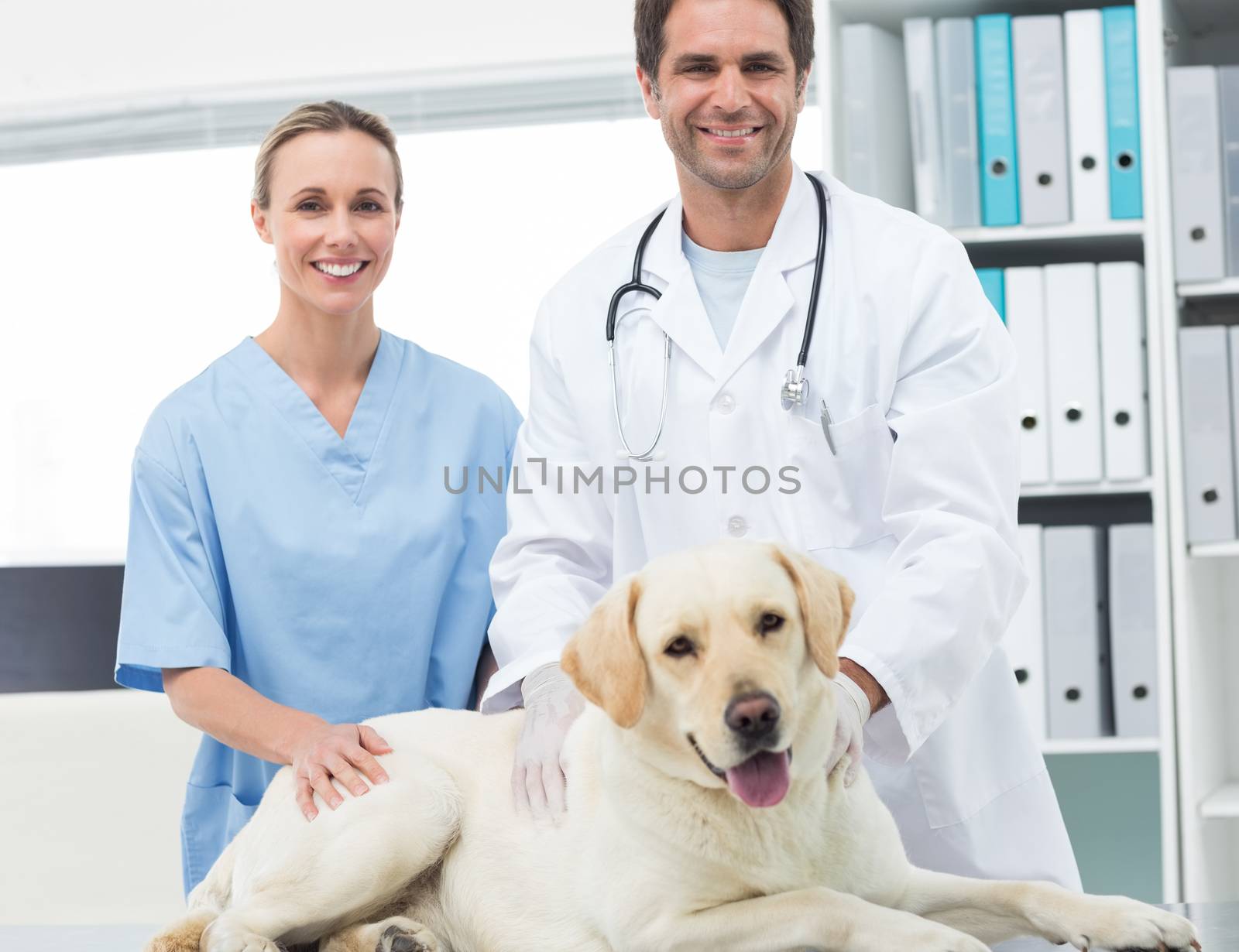 Portrait of confidence veterinarians with dog in clinic