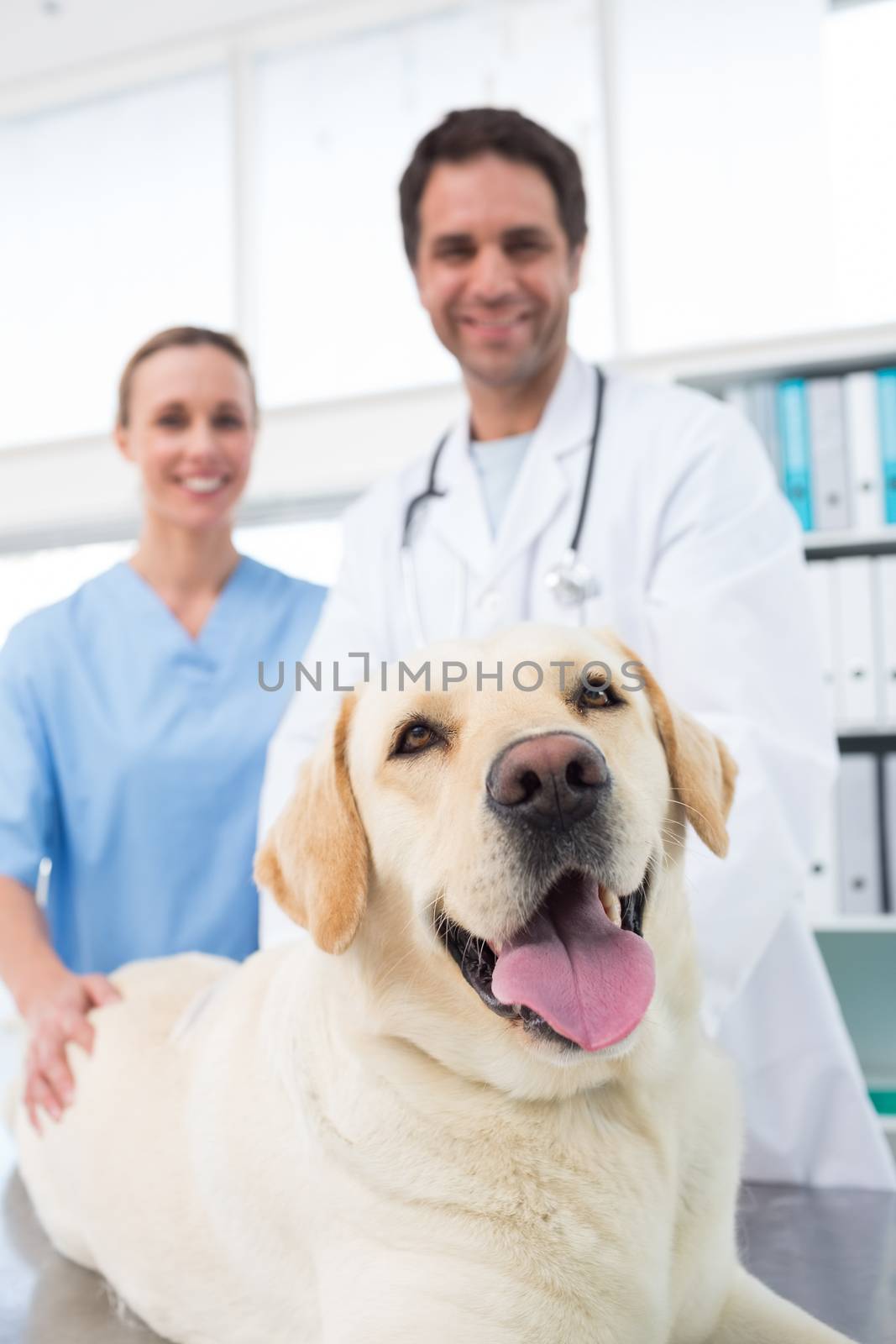 Portrait of confidence veterinarians with dog in clinic