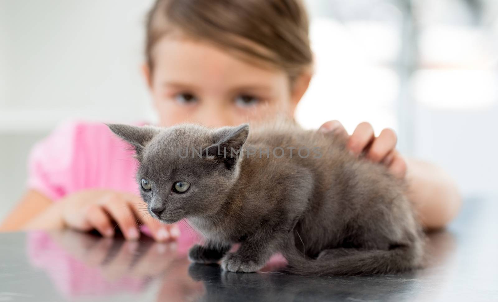 Little girl with cute kitten at veterinary office