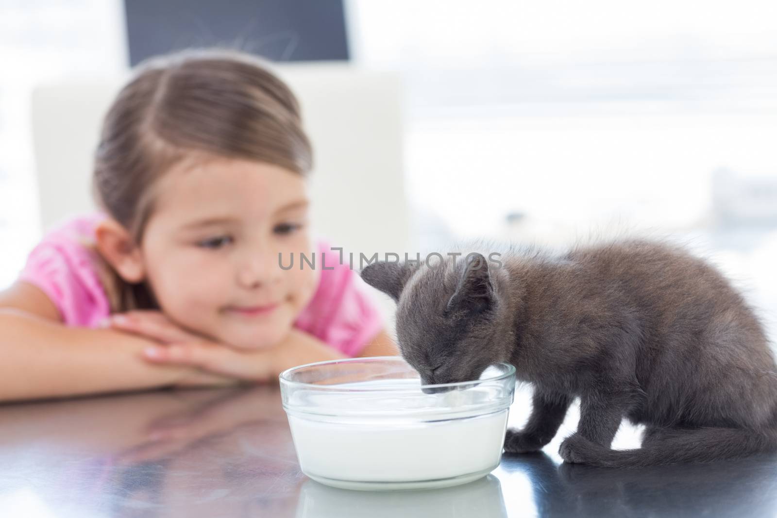 Girl looking at kitten drinking milk from bowl by Wavebreakmedia