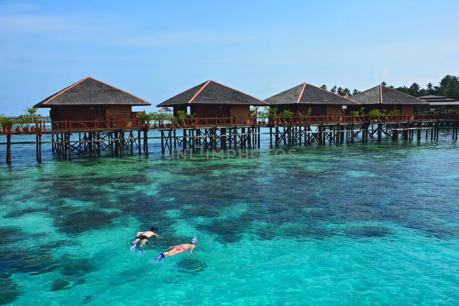 Snorkeling tourist Living in the ocean at Mabul island, Malaysia by think4photop