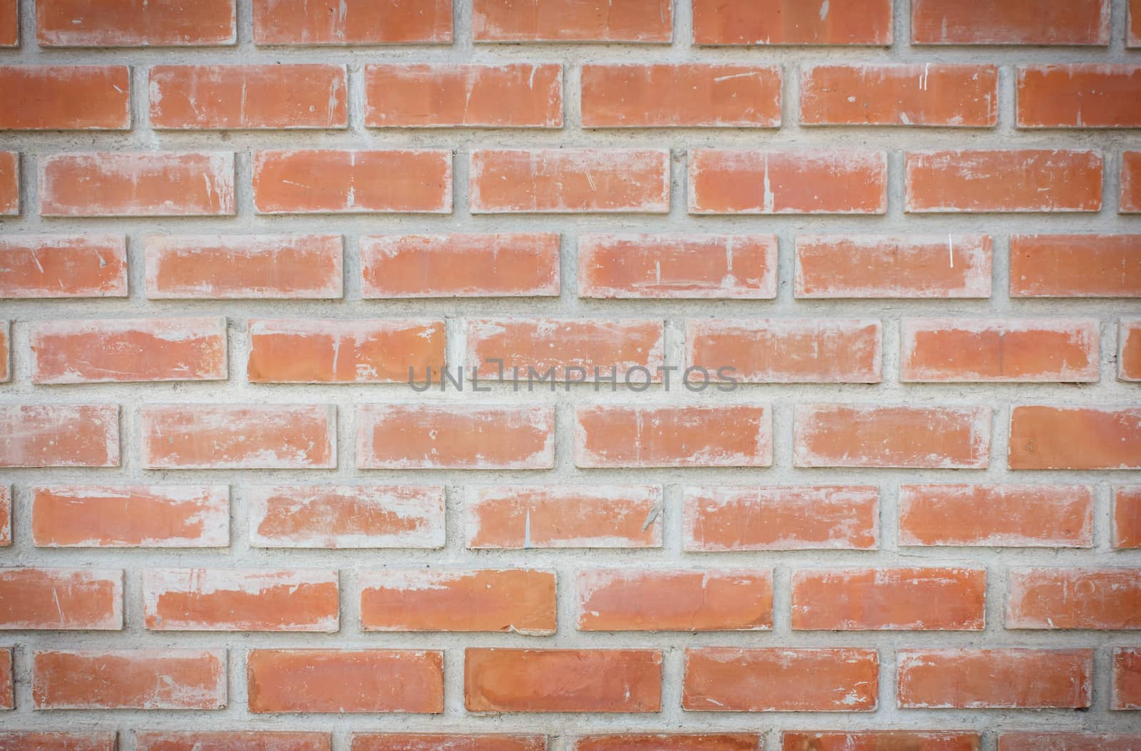 Brick wall  background by vitawin
