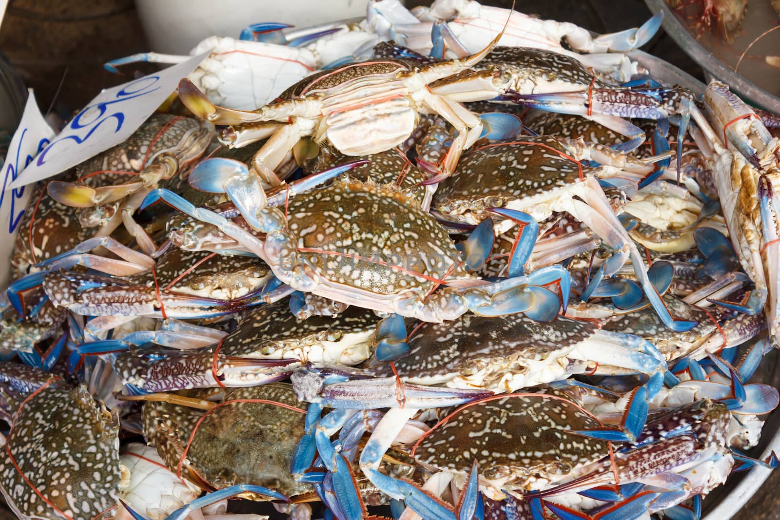 raw crab at seafood market by vitawin