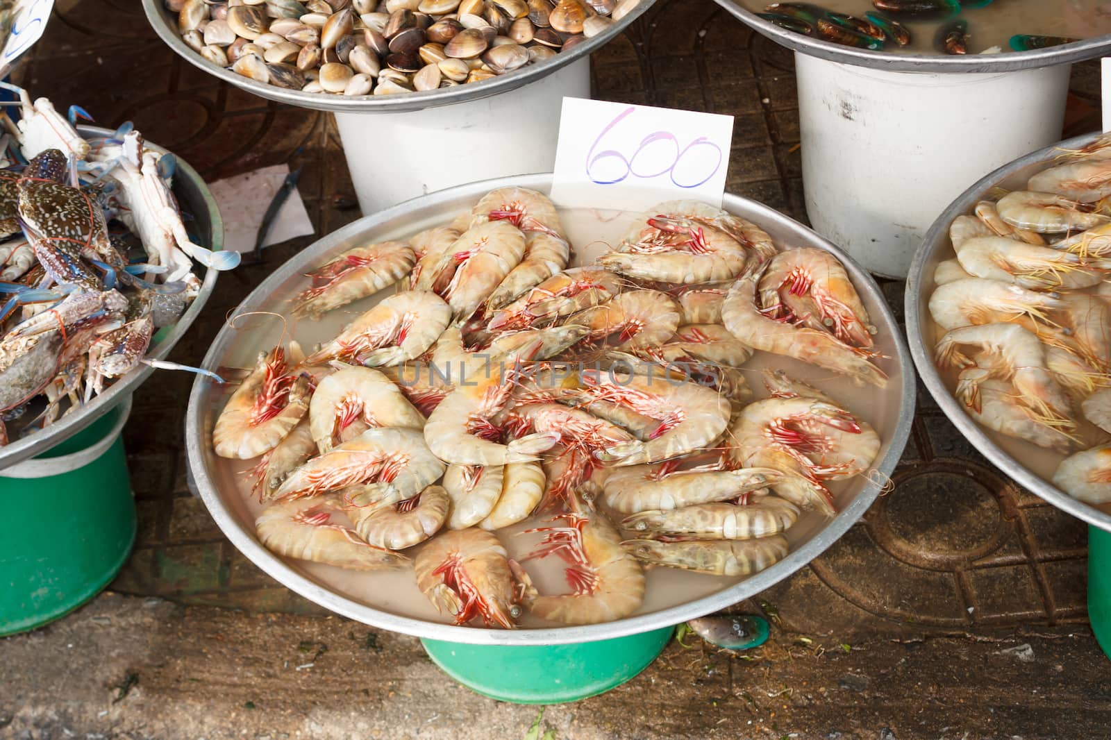 shrimp at seafood market in Thailand