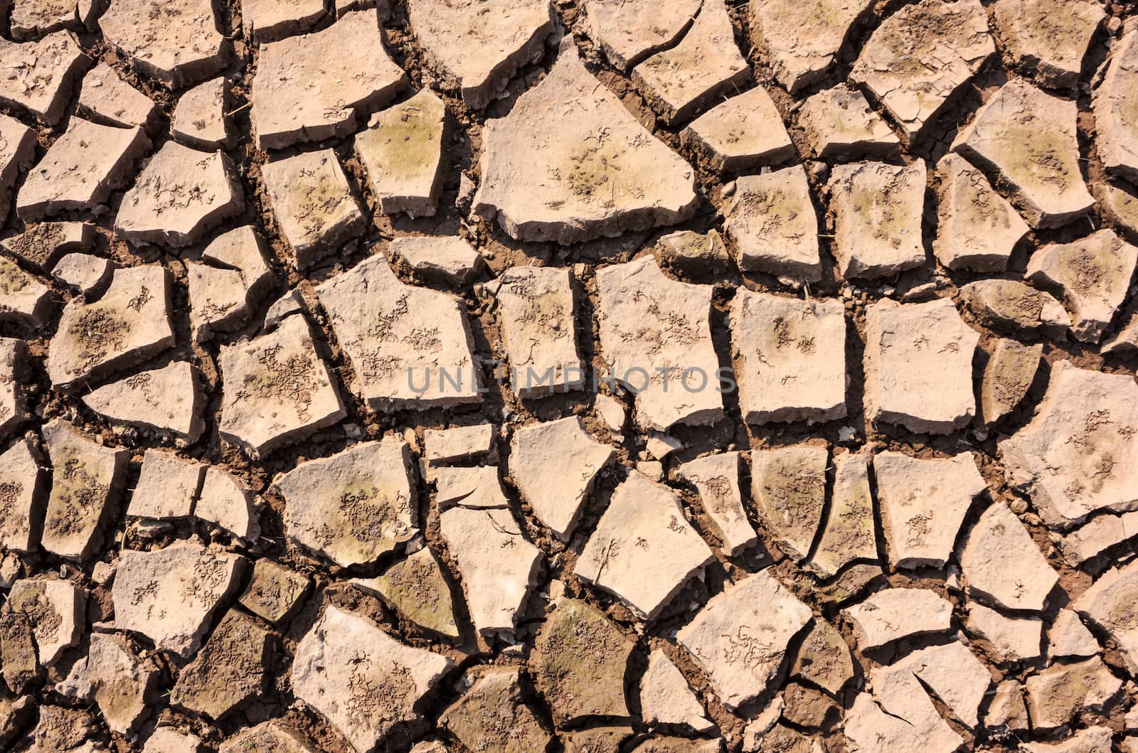 Cracked soil ground texture background