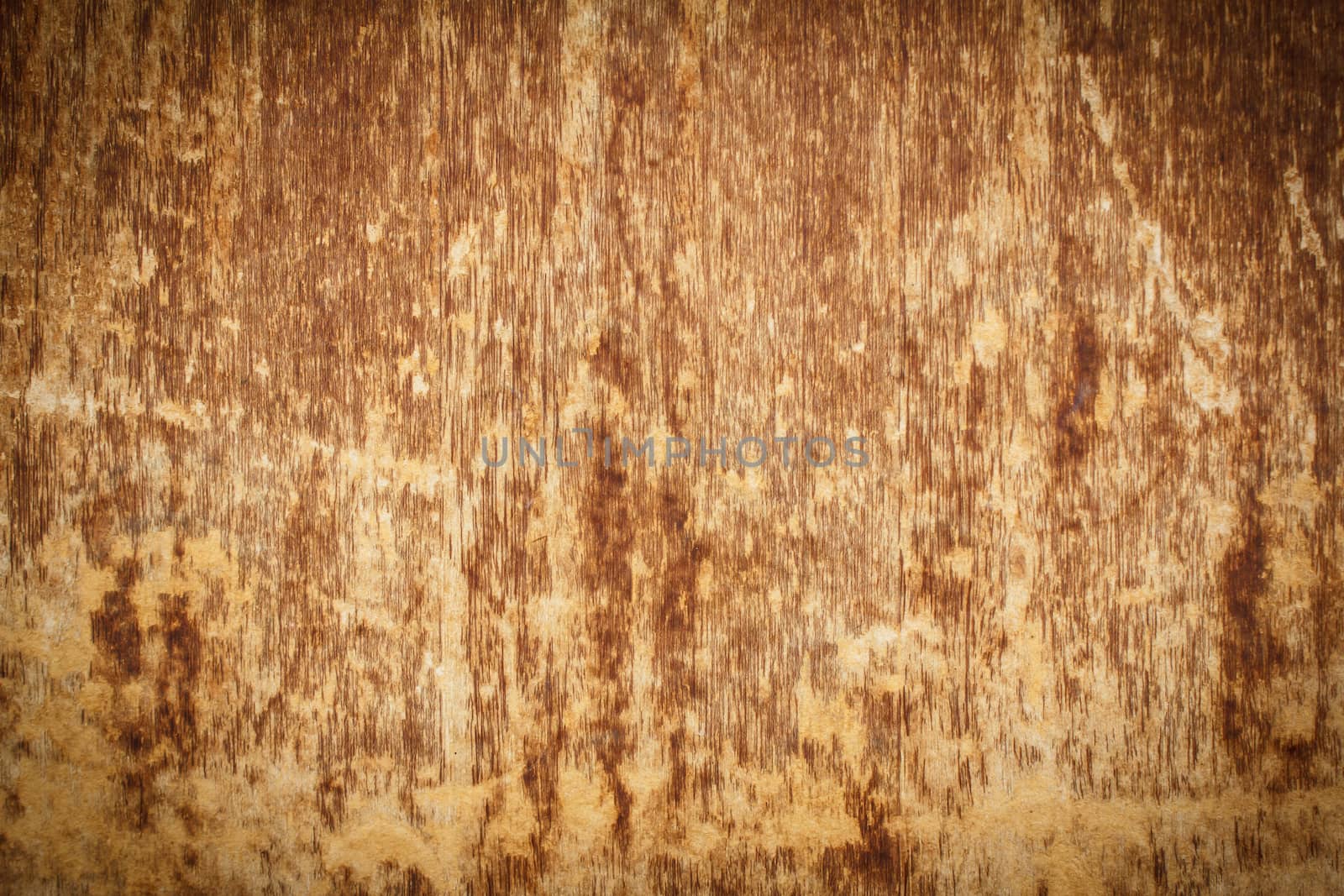 wood grungy background by vitawin