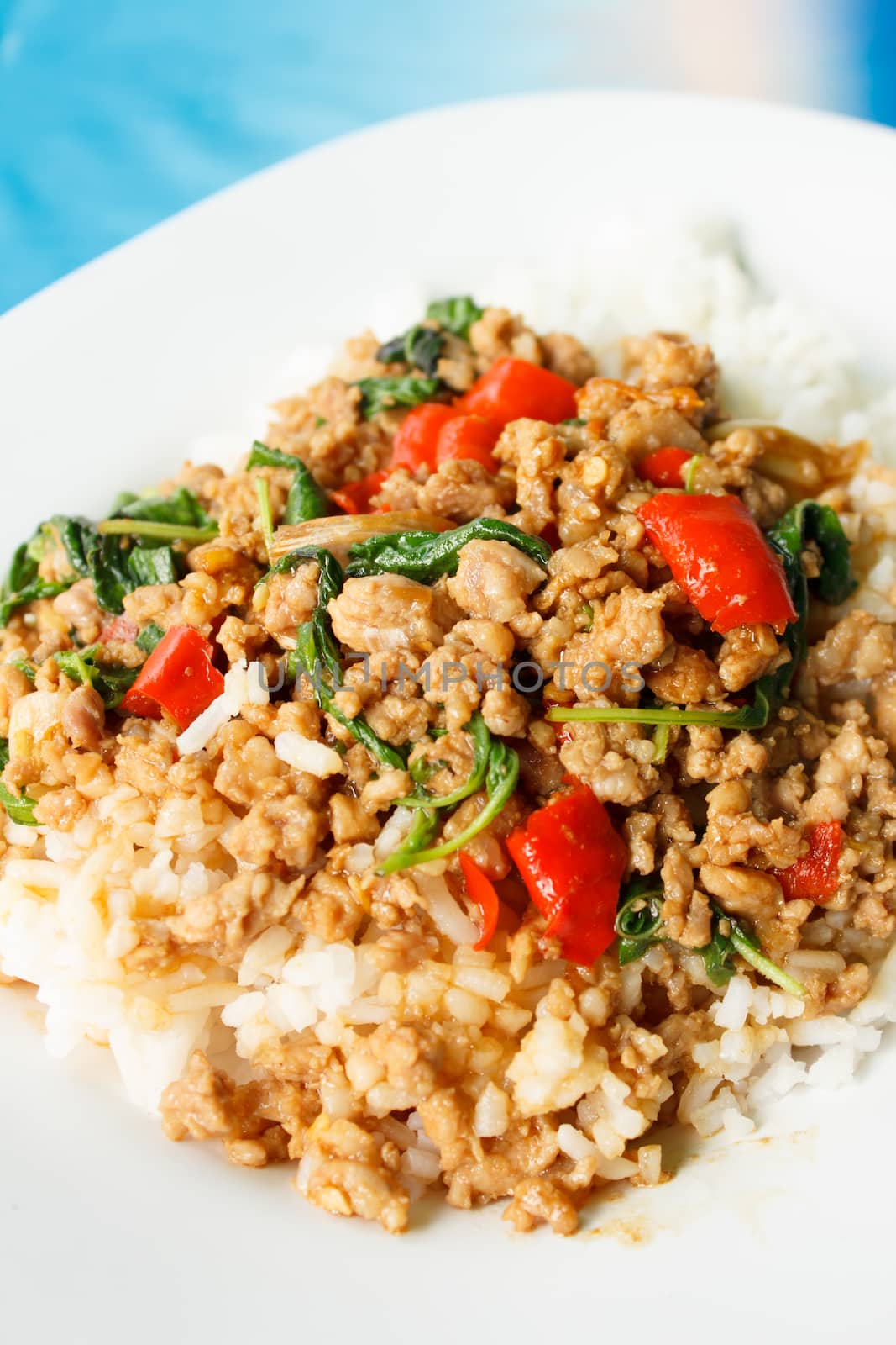 stir fried ground pork in holy basil (Thai food)