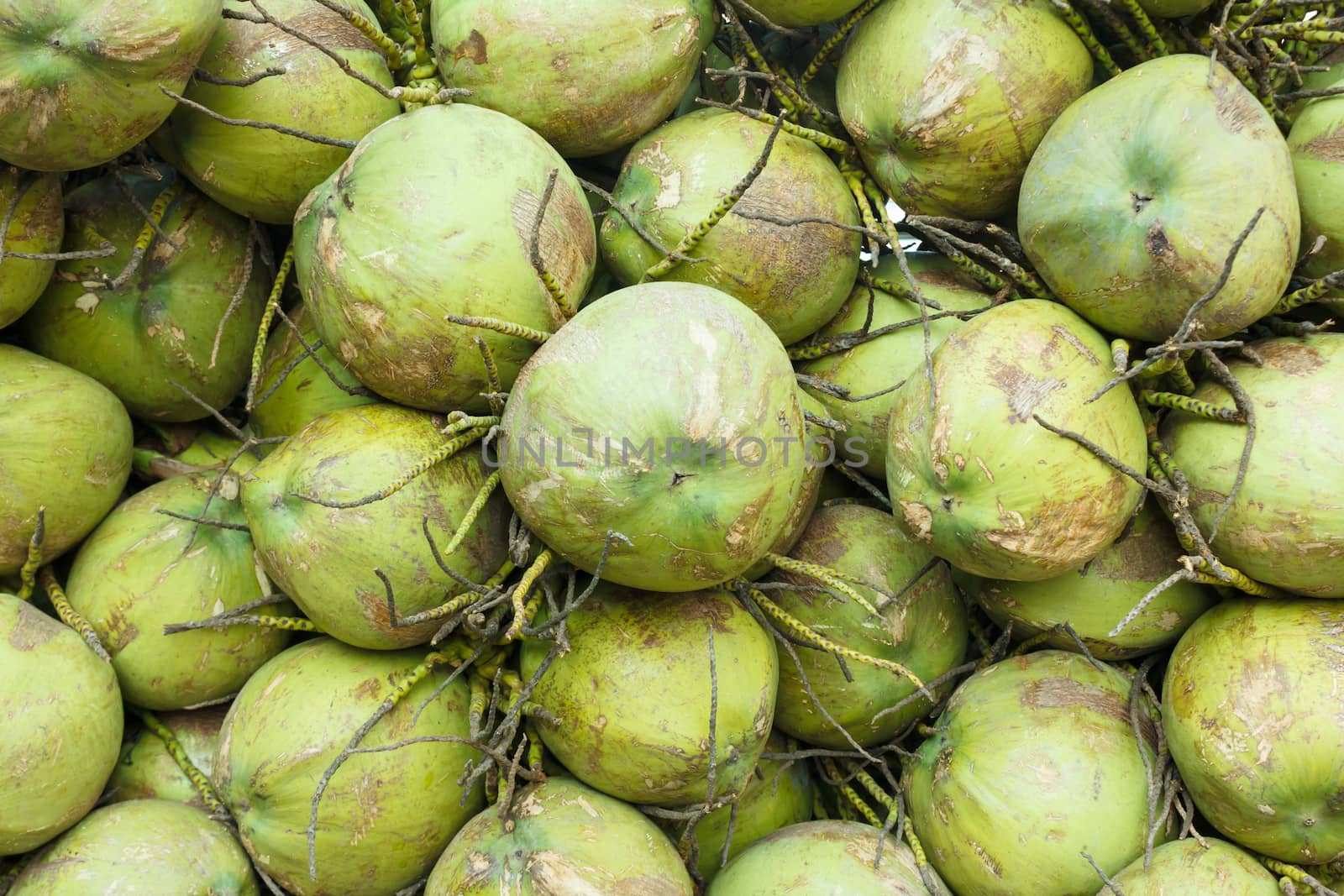 green freshy coconut shell background