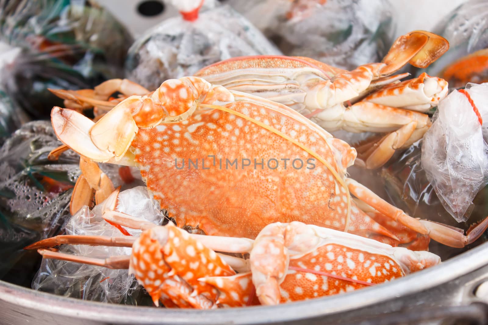 steamed blue crab  by vitawin