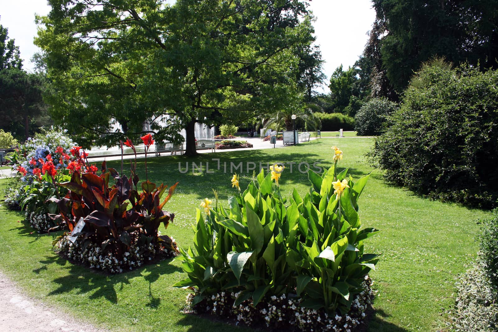 Detail from The Palmengarten in Frankfurt am Main in Germany