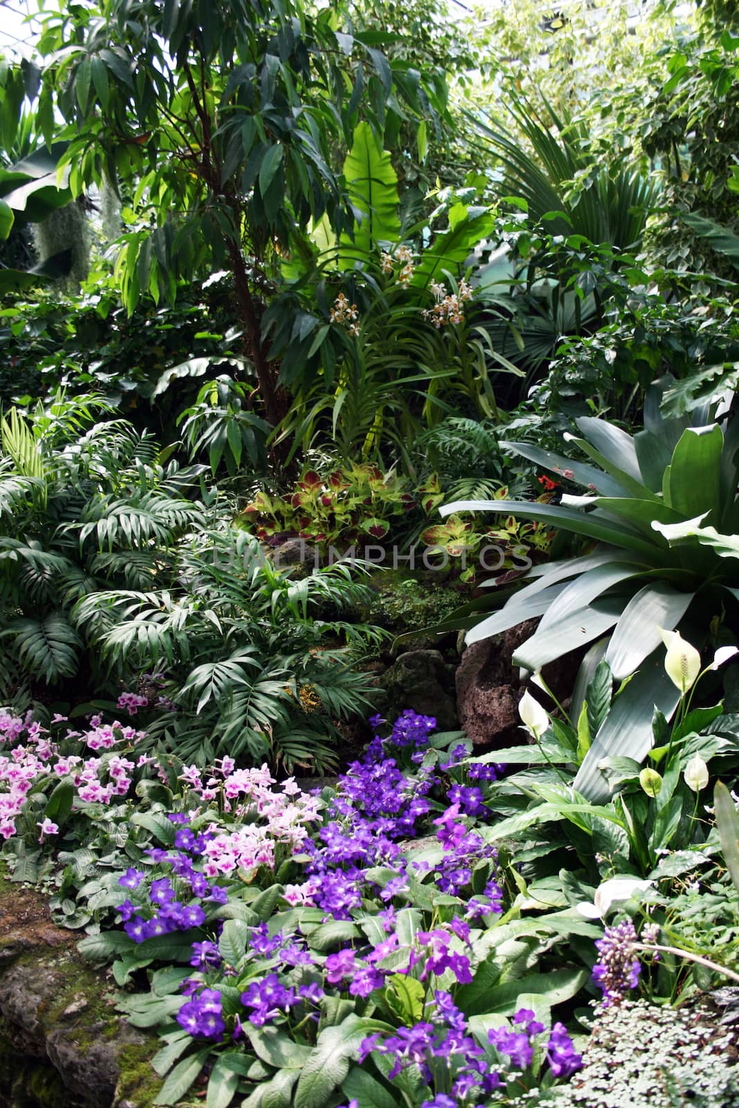 A peaceful oasis in botanical garden on a late summer day