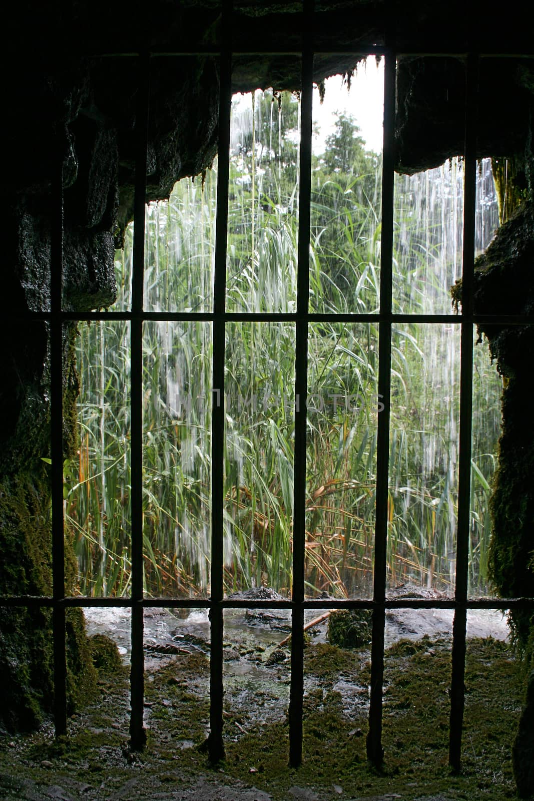 Under the waterfall