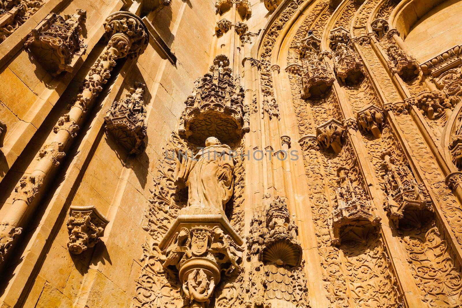 Fine sample in stone carved plateresque style sculpture of the New Cathedral of Salamanca Spain