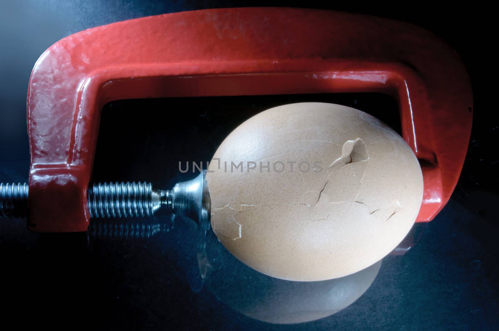 Egg being squeezed with a clamp